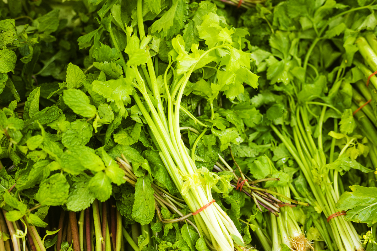 体内寒气过重？试试苏北苦菜汤！