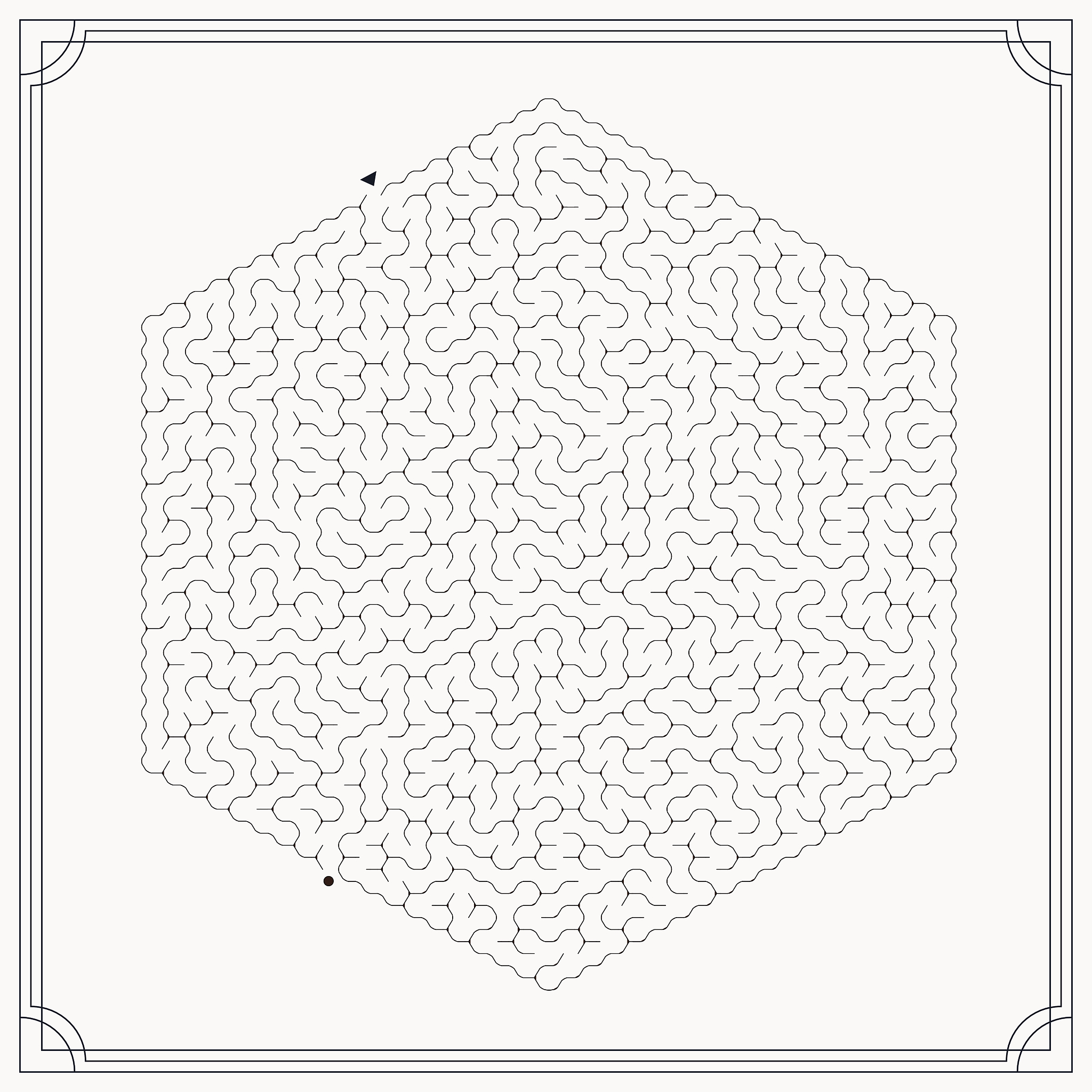 modern hexagon maze