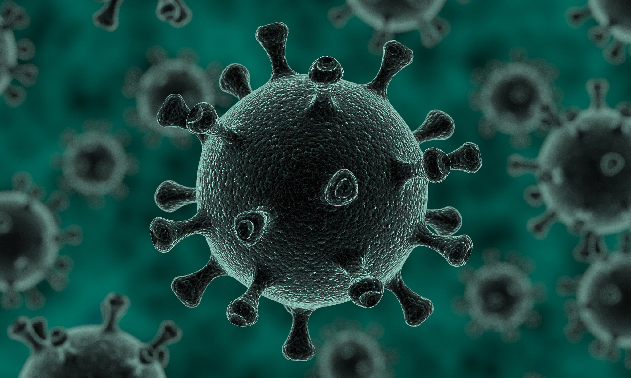 简要概括《基因开关——再访λ噬菌体》这本书每个章节的内容。