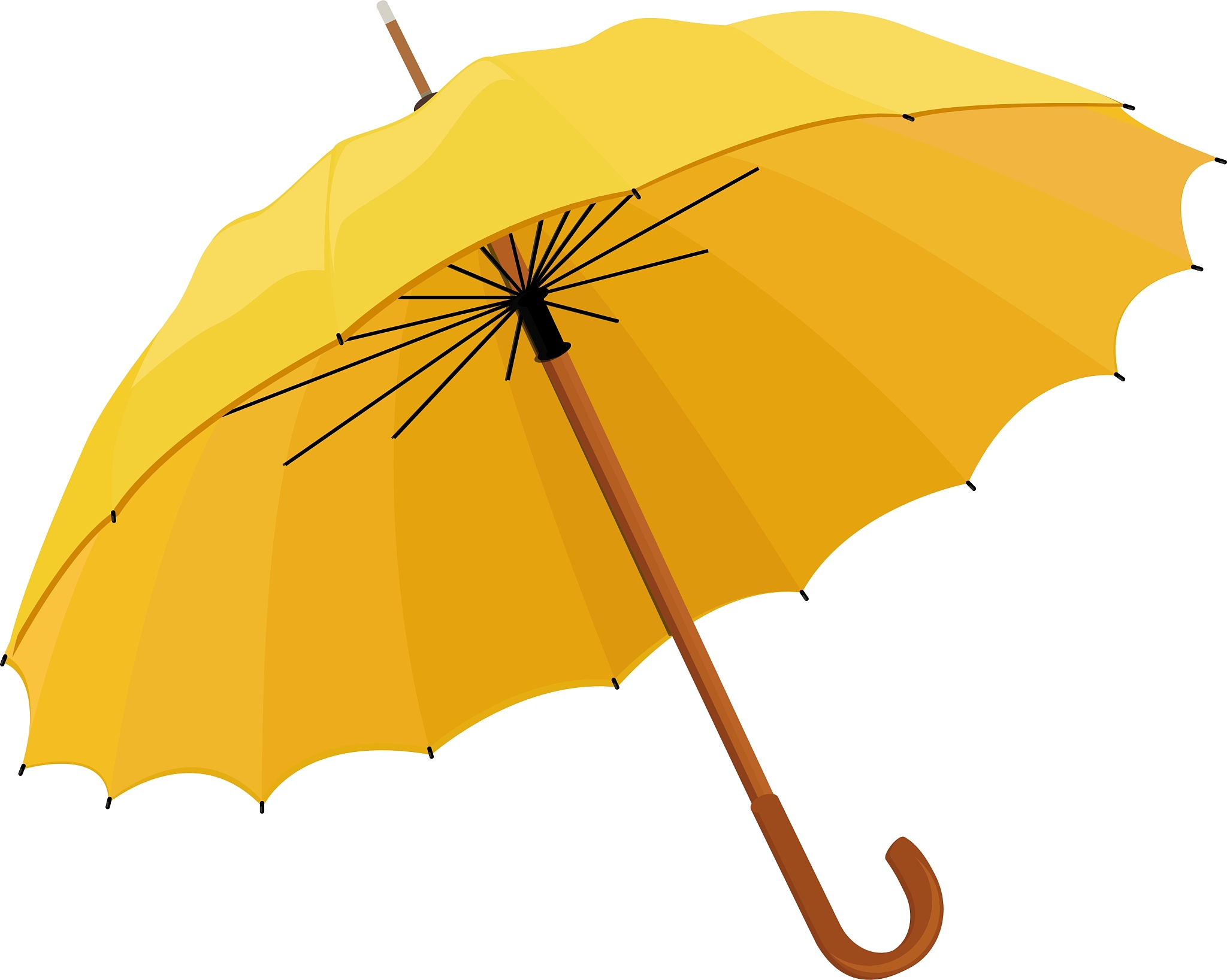 opened umbrella