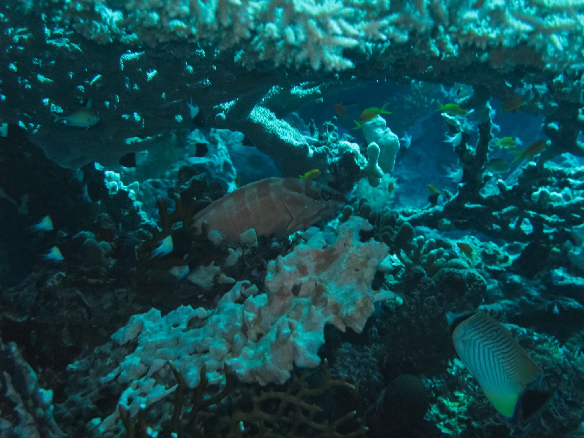 Ocean Cleaning Yields Pristine Sea Surface