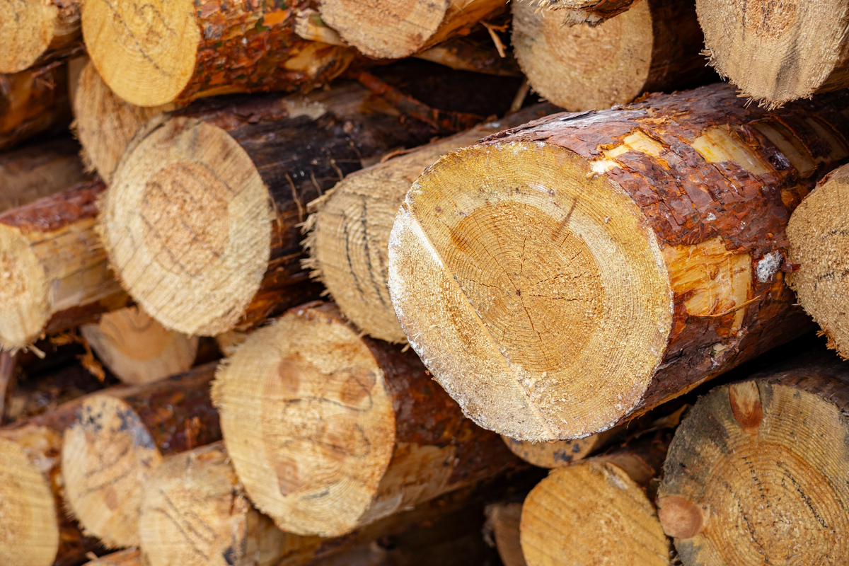 齐齐哈尔林业学校木材加工专业介绍 - 培养高素质木材加工技术人才