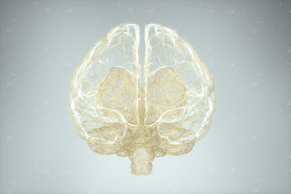 三门县职业中等专业学校2023年有哪些专业