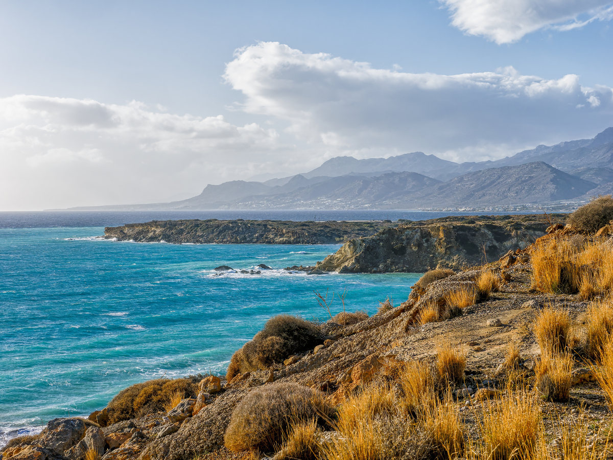 探秘美国西海岸：自然奇观与人文风情之旅