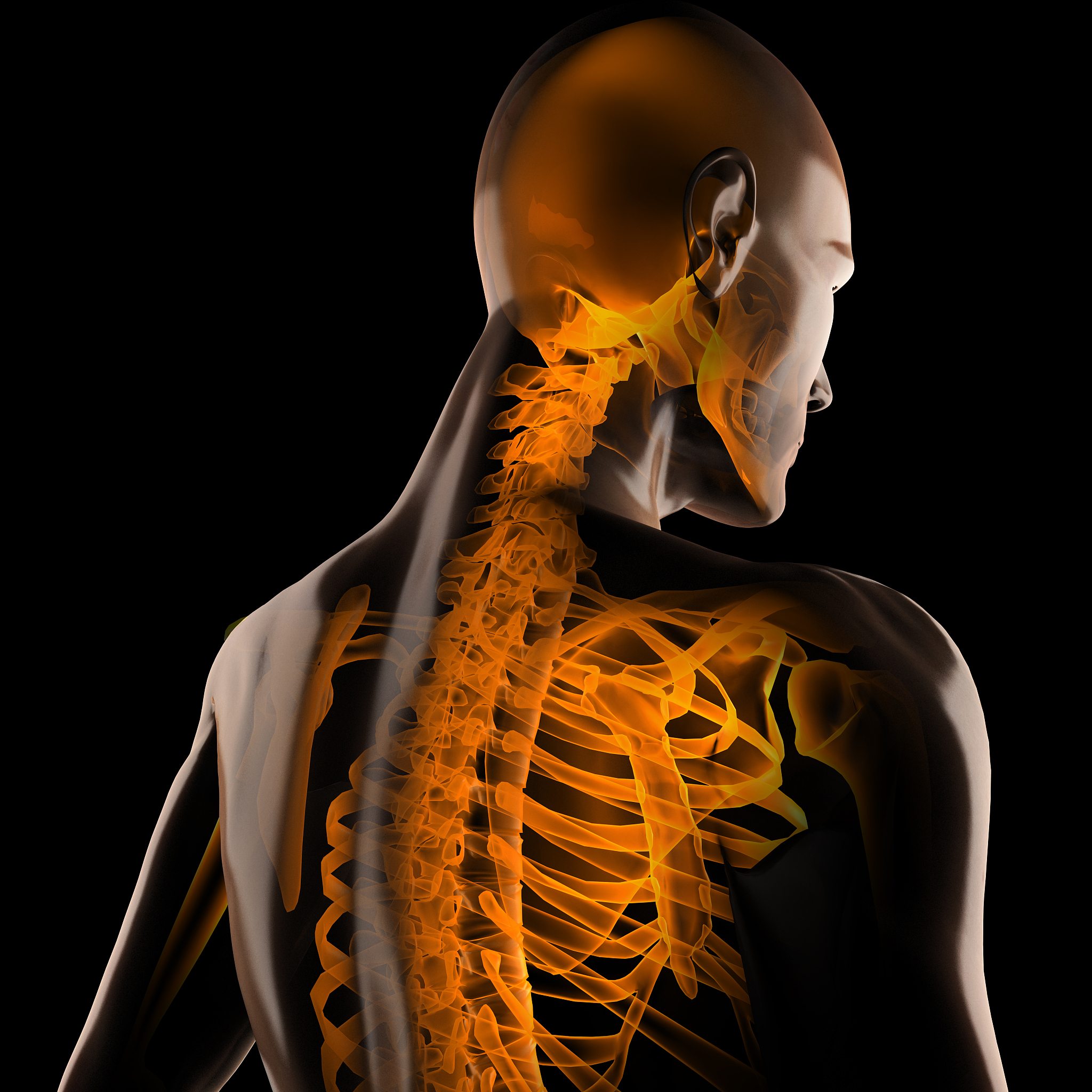 同仁堂壮骨药酒是否有改善消化系统健康的作用？