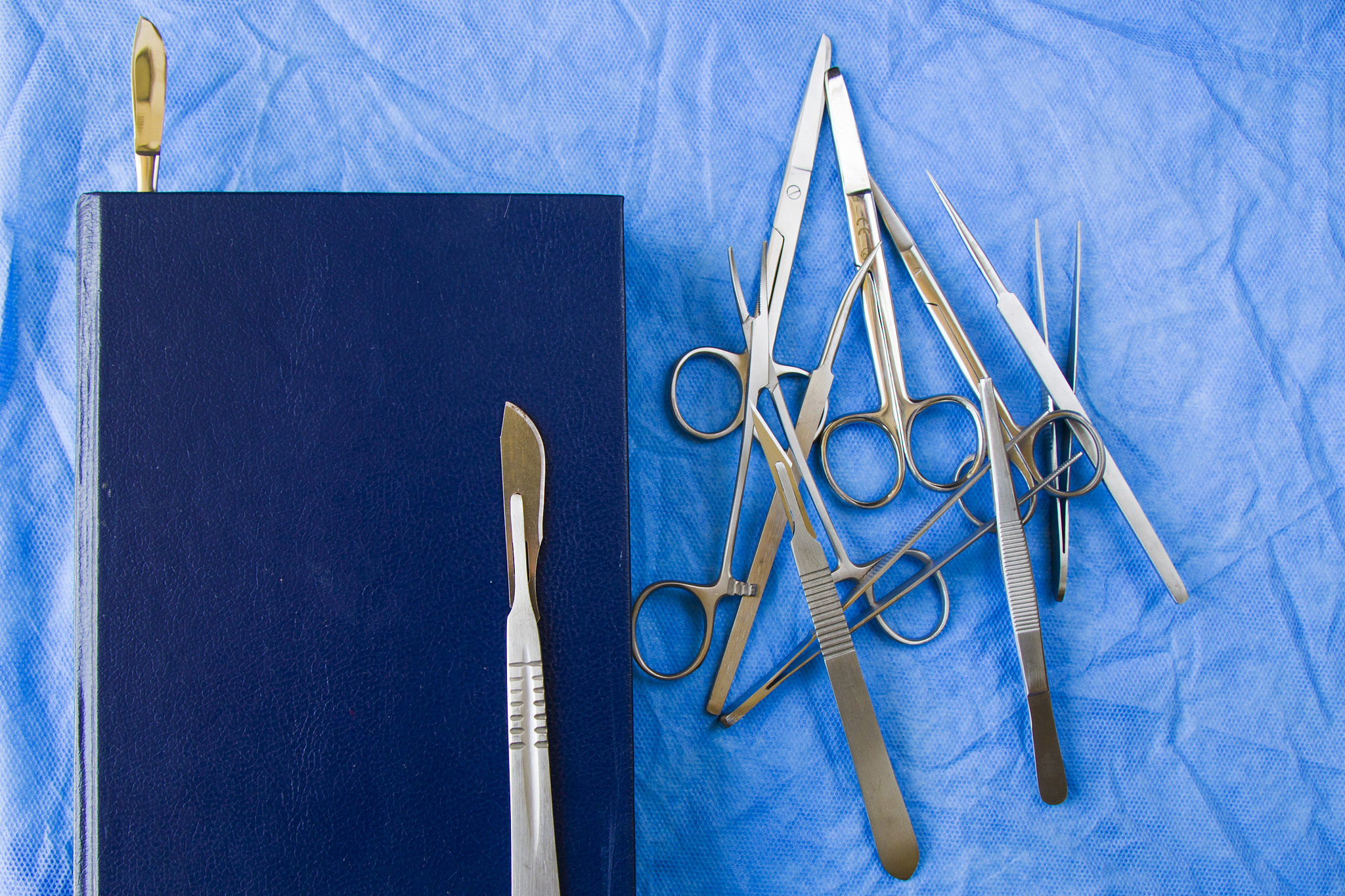 山东济南海洋畜牧兽医专修学院2019年招生专业有哪些？