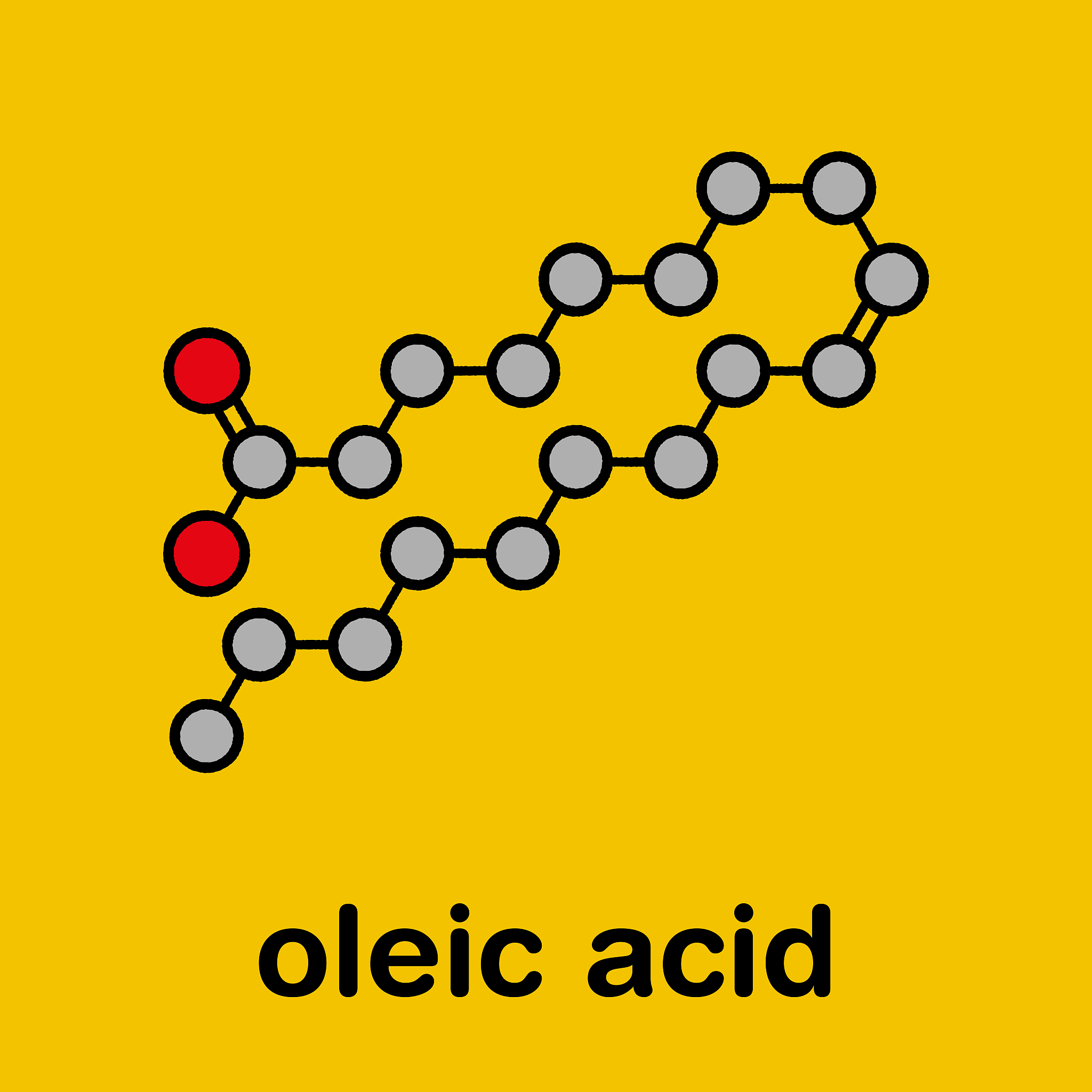 甘油和脂肪酸的能量来源及作用