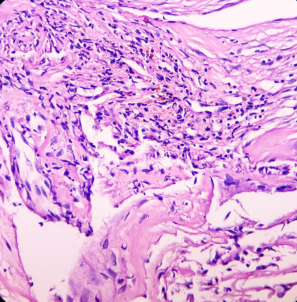 写一篇对照检查材料