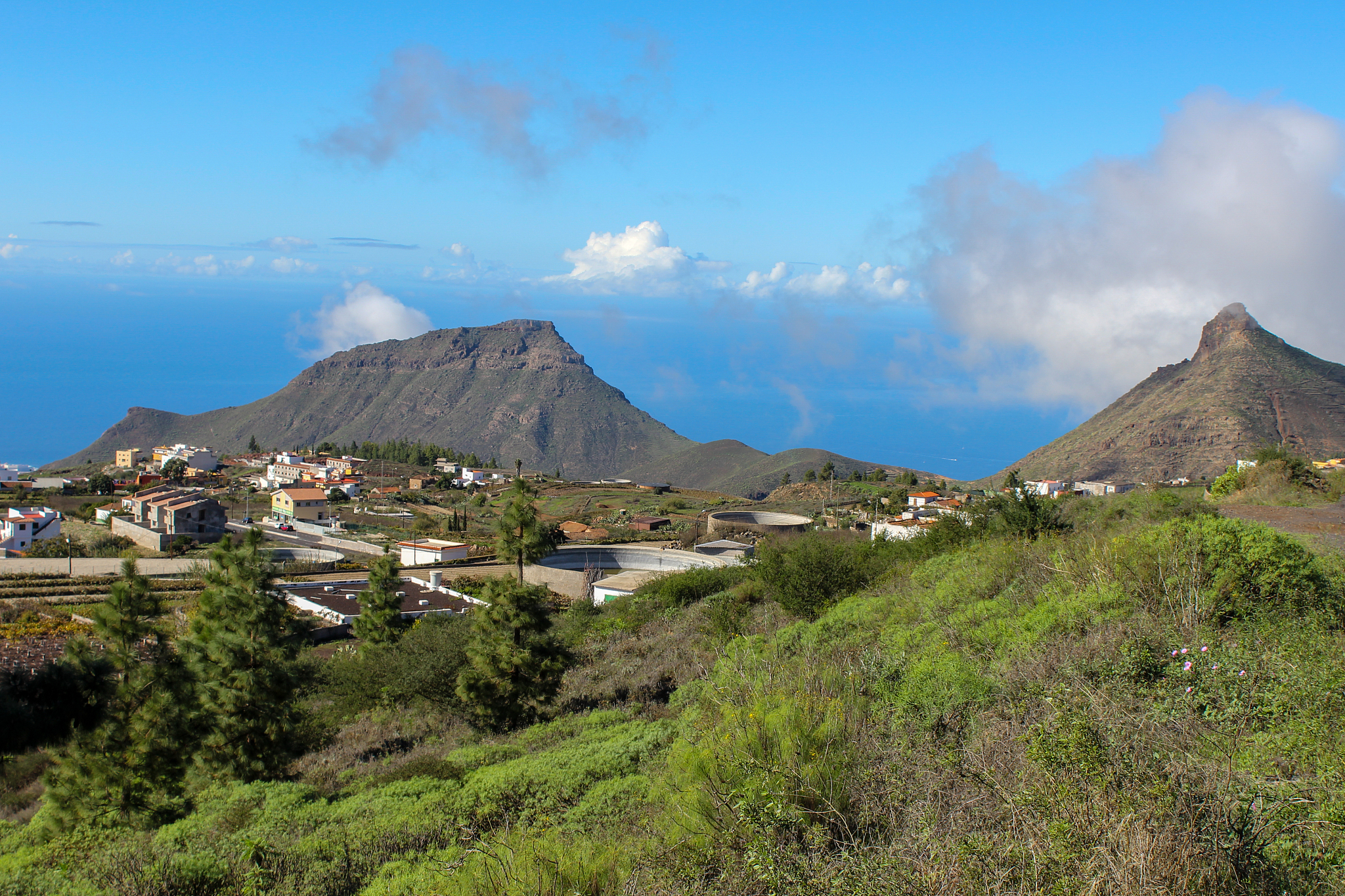 landscape with green plants in the front, houses and mountains i