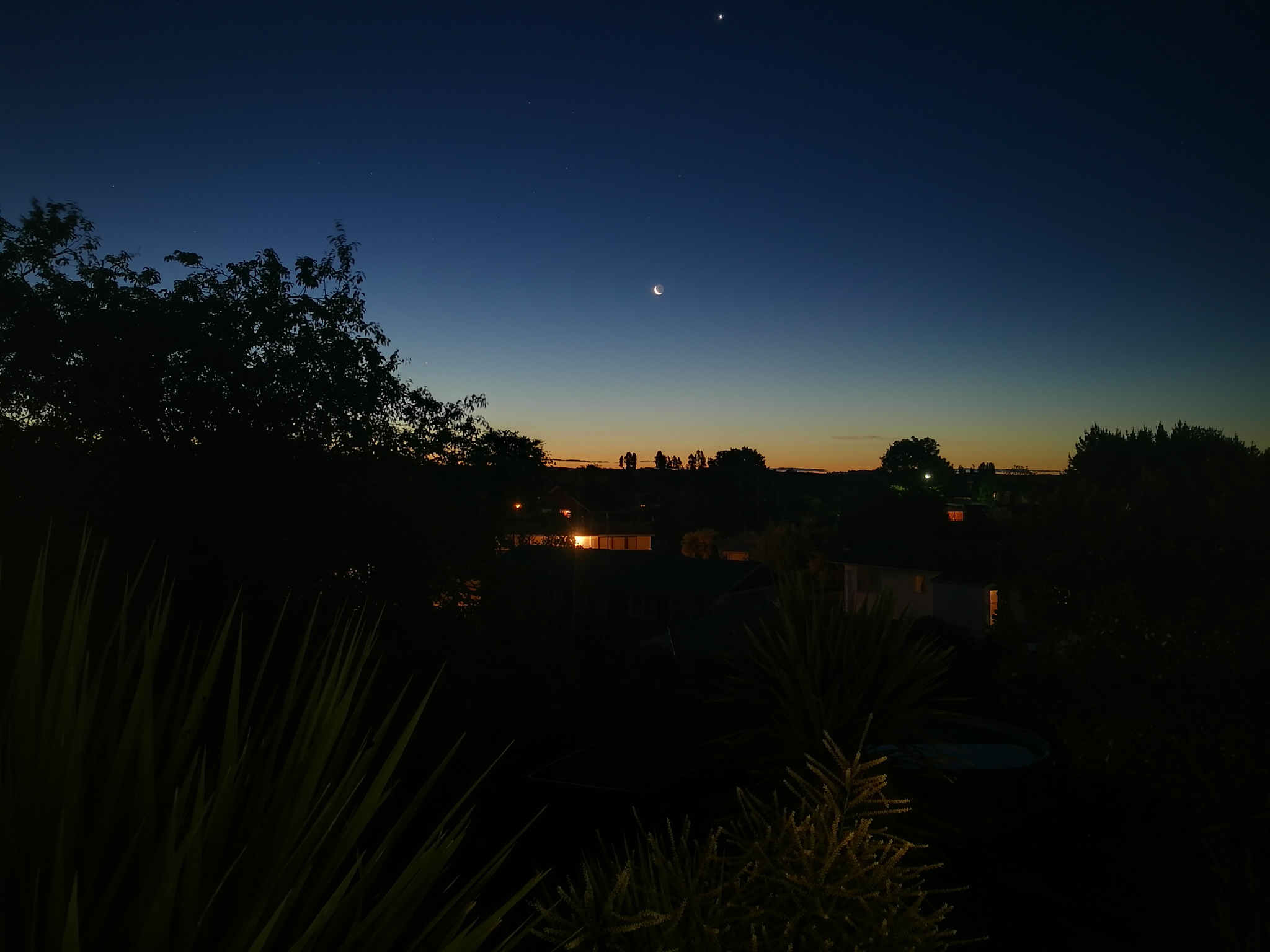 silhouette trees against sky at night