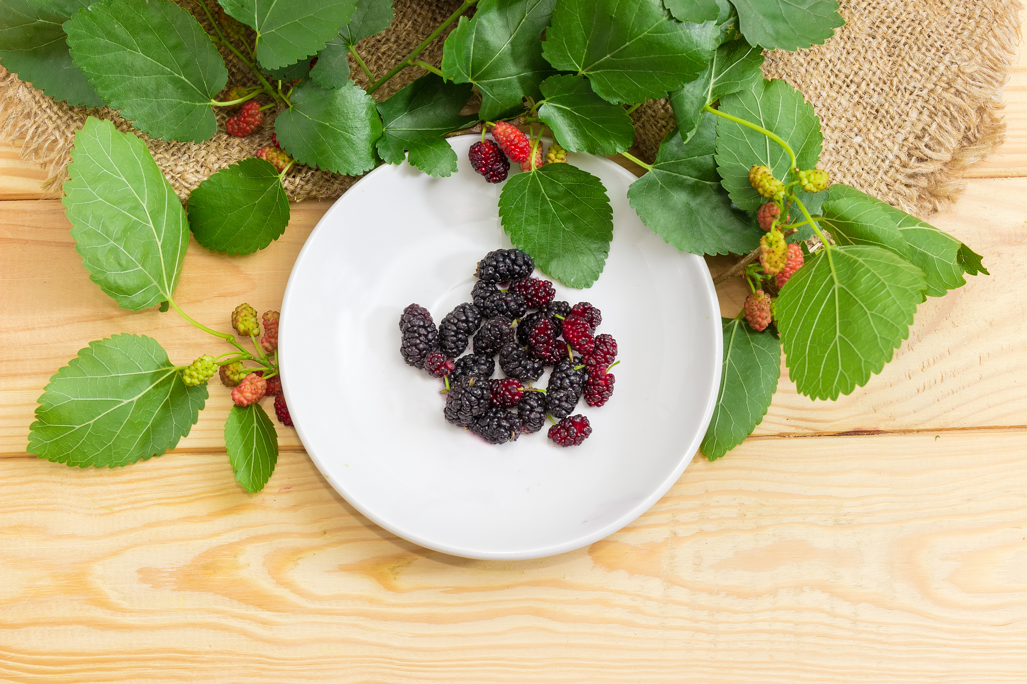 黑莓和桑葚是一种水果吗是的黑莓和桑葚都是水果。您的提问过于频繁了请歇一会吧继续