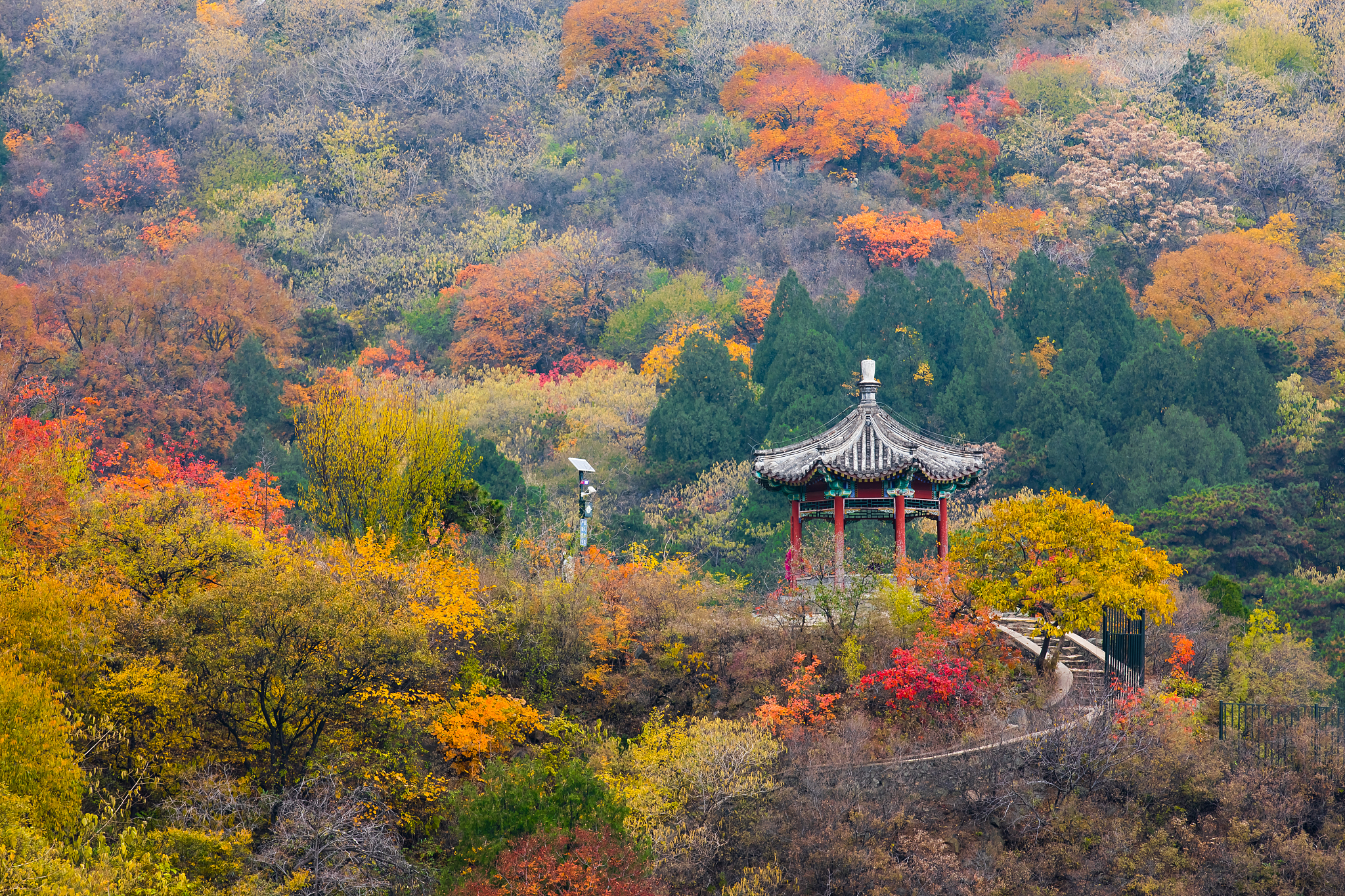 700字初中的记叙文主题是关于在小学至初三期间爸爸开车带着爷爷、奶奶、妈妈和我去北京西北郊的百望山森林公园发生的某件事情爬了百望山又名望儿山相传北宋杨六郎与辽兵在此山下鏖战佘太君登山观阵助威此山因而得名这里山不高秋天有红叶并要从中得到一些感悟与教育。