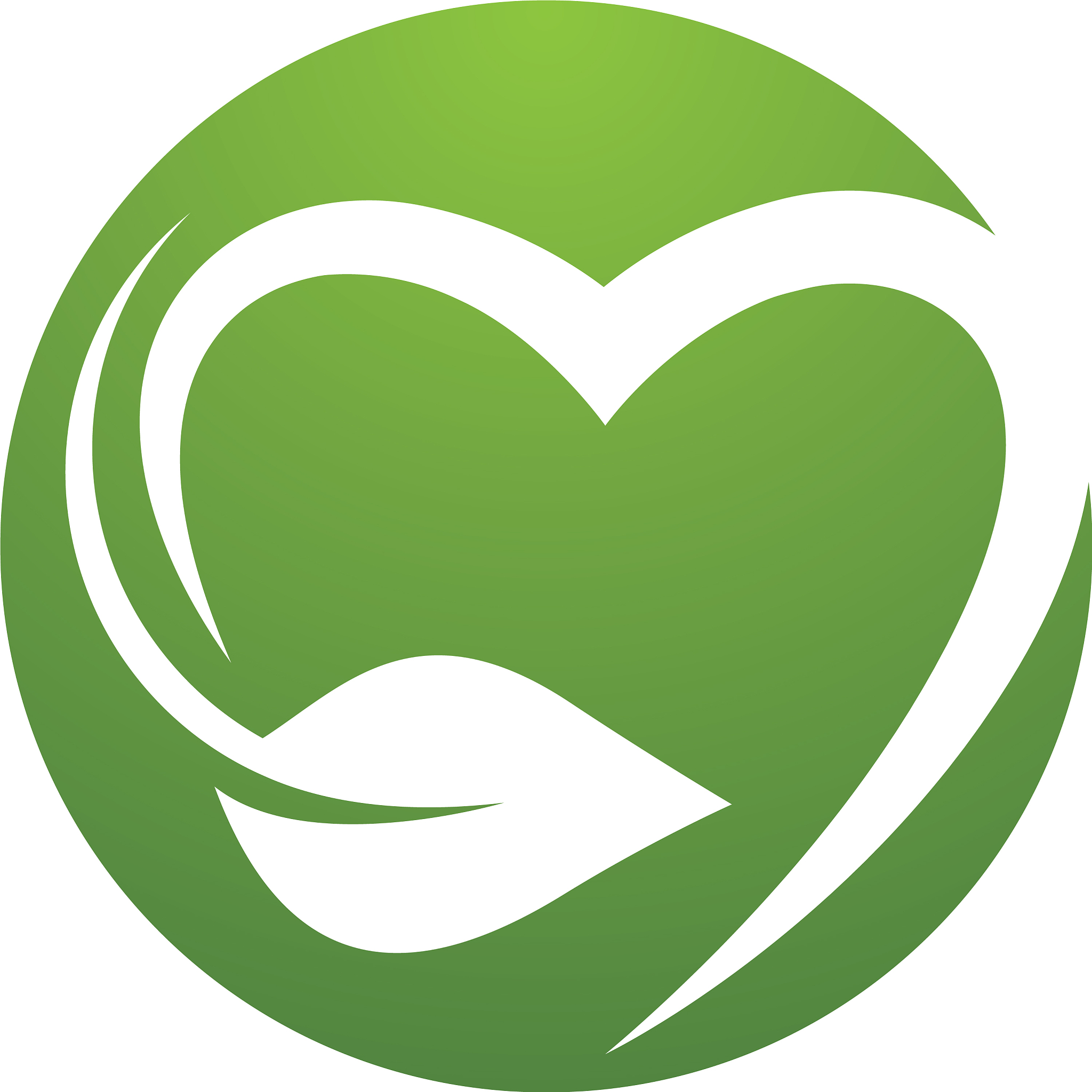 写一份opened计划书