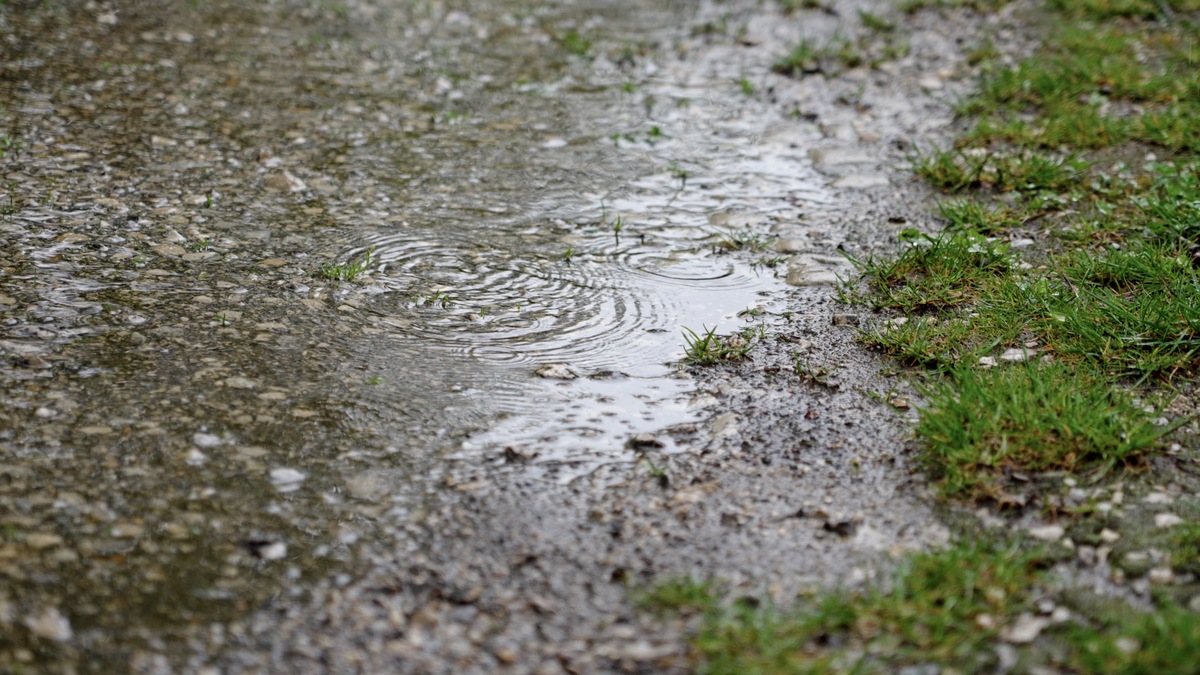 倾盆大雨的洗礼：感受自然的力量与美