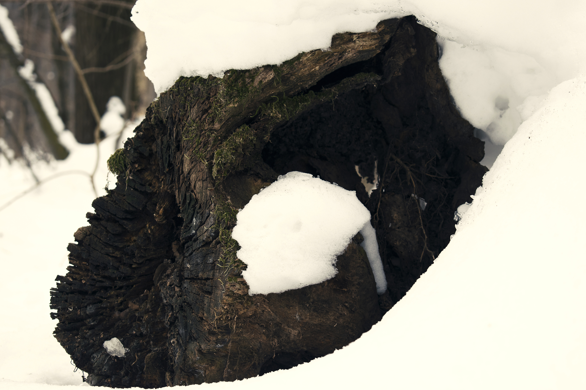 木耳里面有黑色颗粒怎么回事