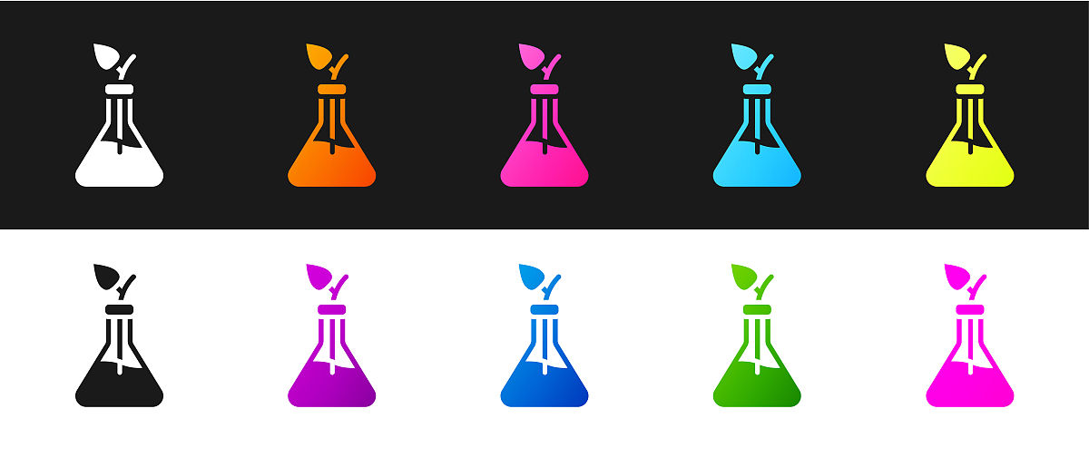 举例说明细胞工程或基因工程在园艺植物育种中的运用。内容要求：细胞工程：什么作物、用什么器官组织培养、怎么培养、结果如何、有什么目的意义。基因工程：什么作物、什么基因、基因有什么功能、用什么方法转化、结果如何、有什么目的意义。