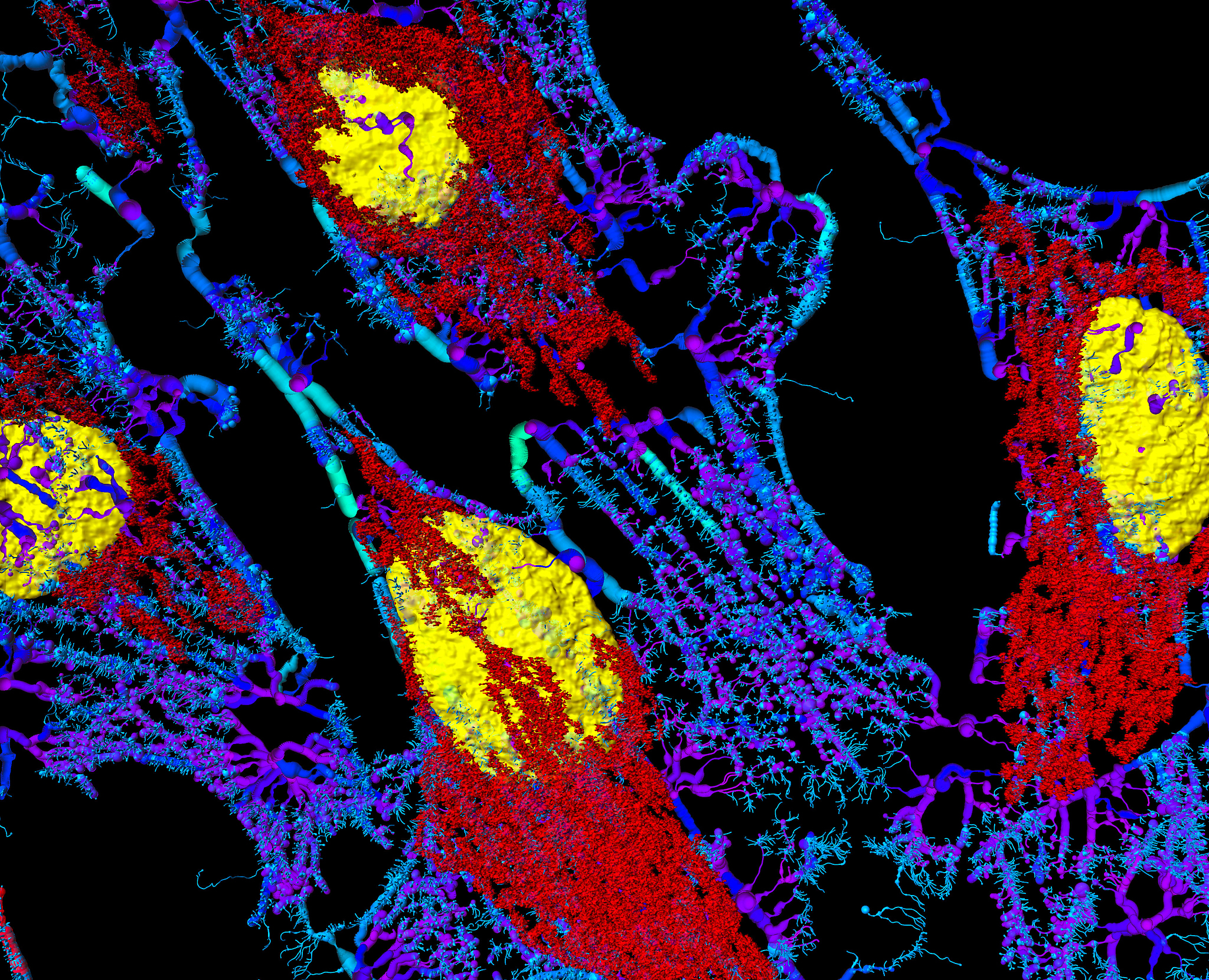 多波束测线：提高地球物理勘探效率和精度