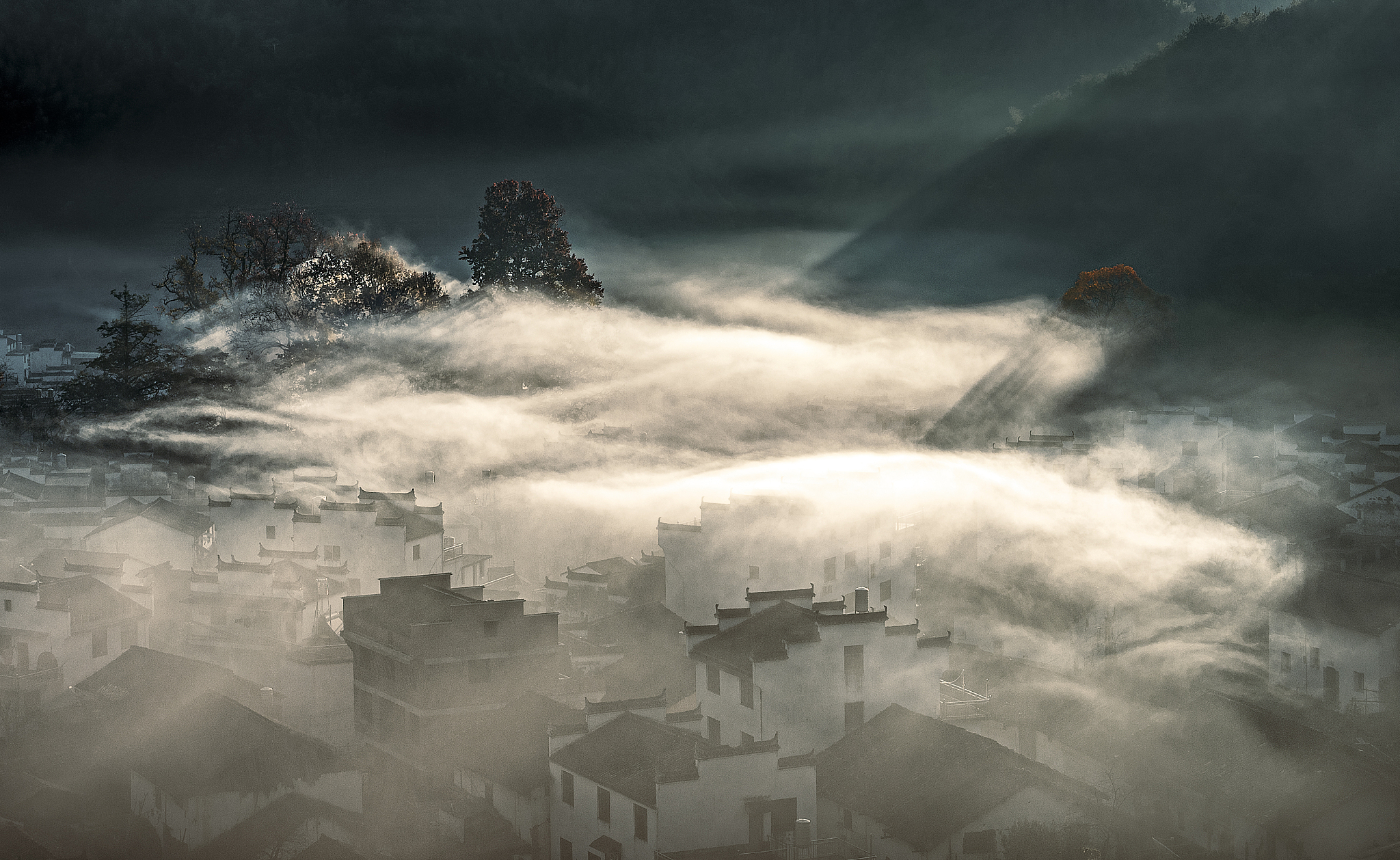 云深不知处暗示了什么，