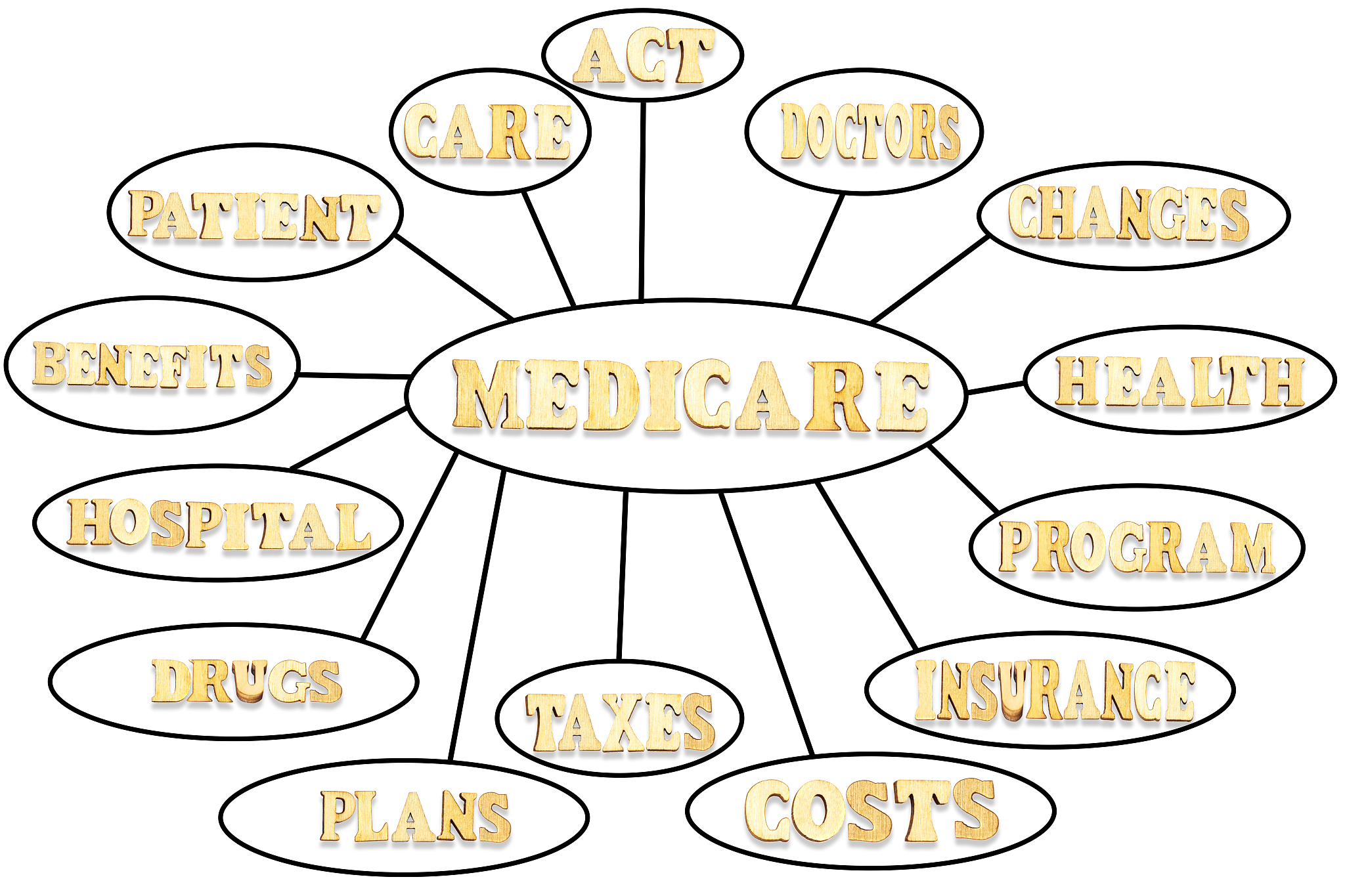 关于思想品德的写实记录