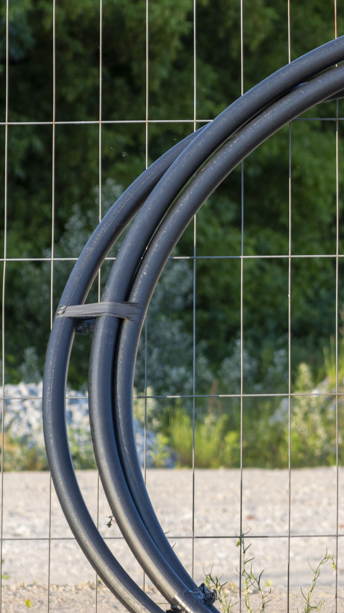 广西广播电视学校电子信息技术专业怎么样？-深度评测