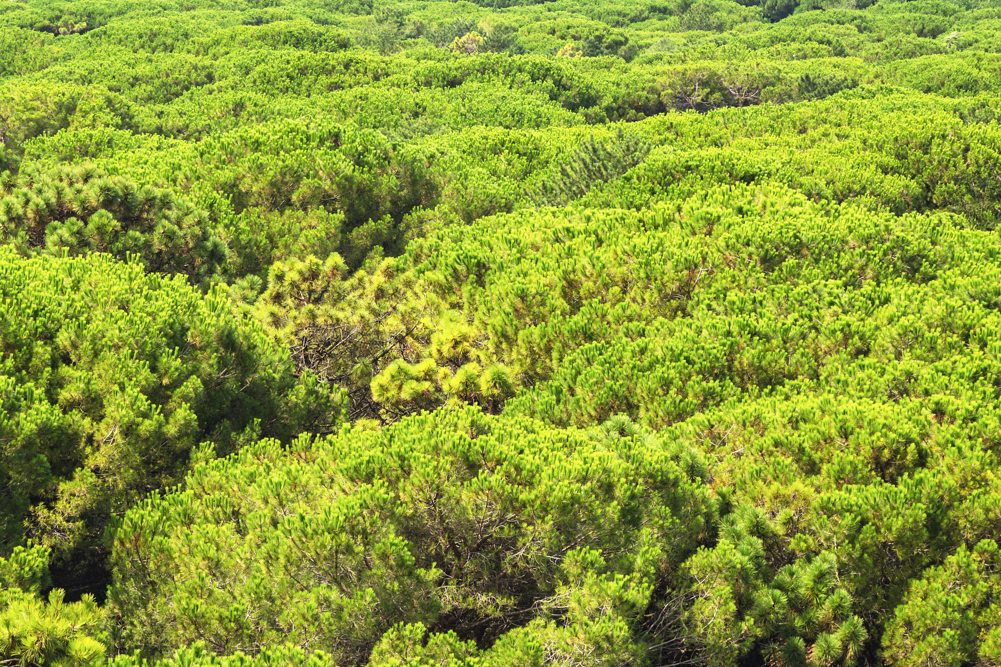 贵阳市科技中专职业学校理科专业——环境工程专业。