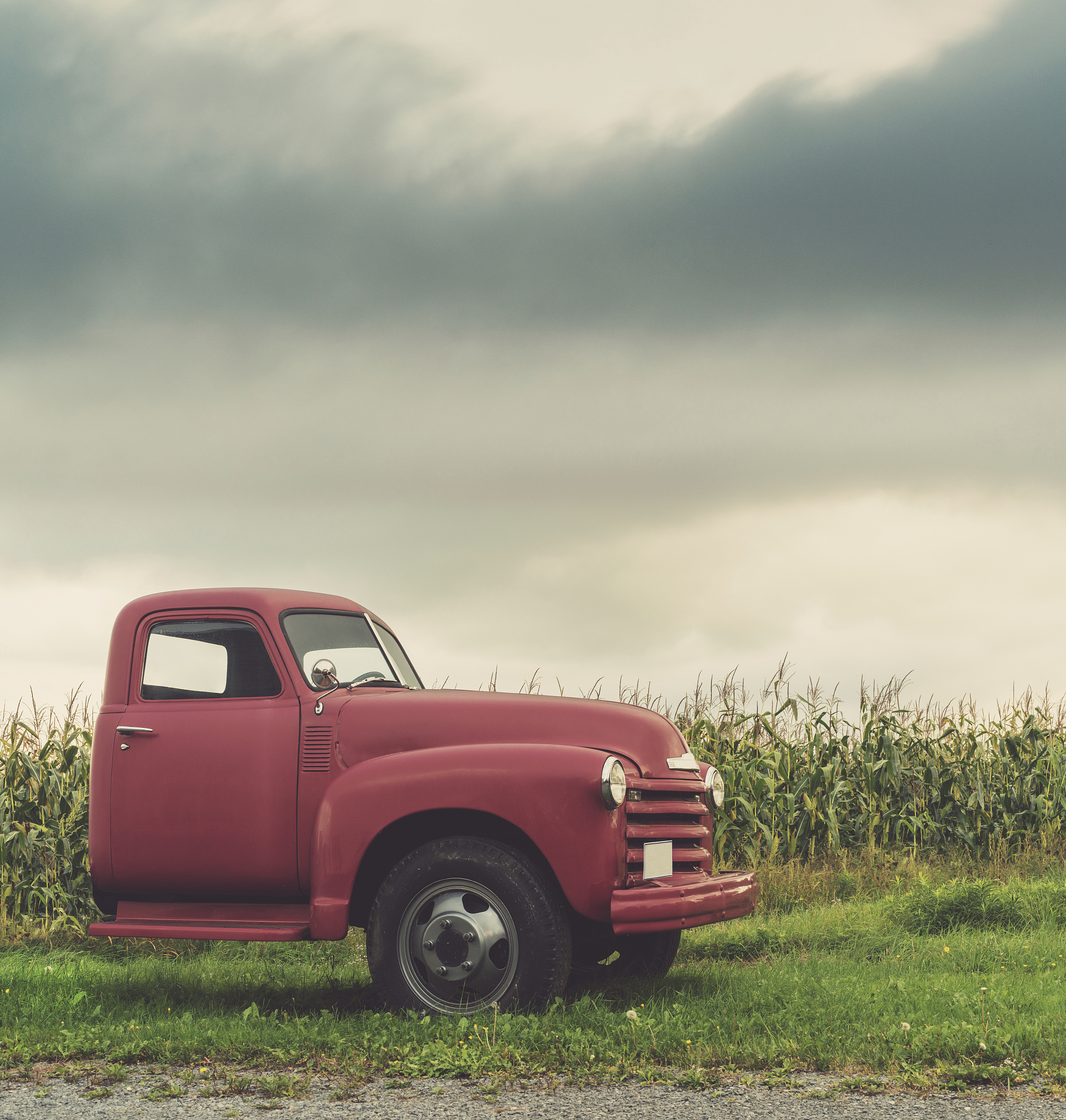 阿尼戈尼：超现实主义大师的文献资料