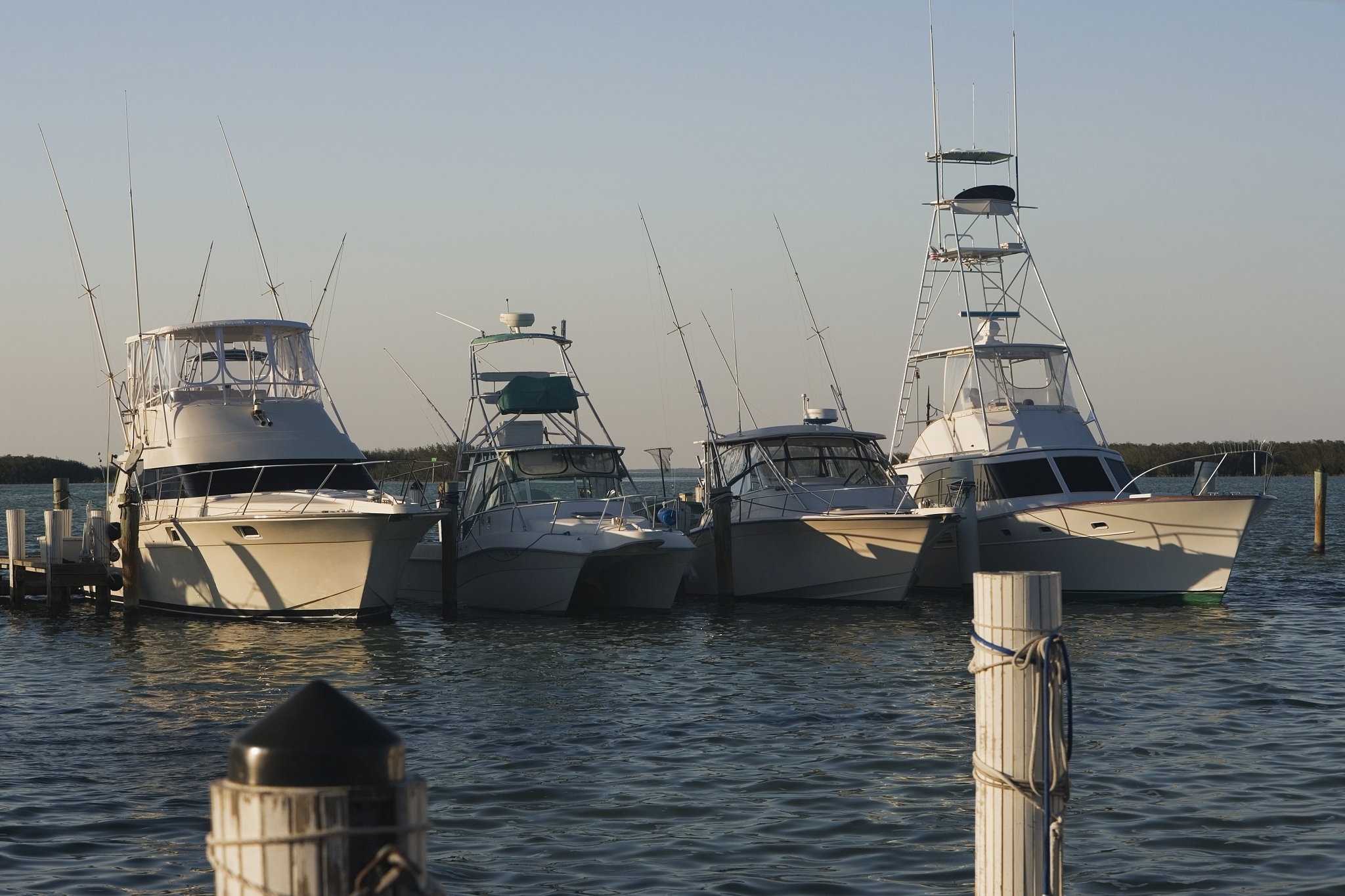 row of boats moored at the harbor, south beach, miami, florida, 