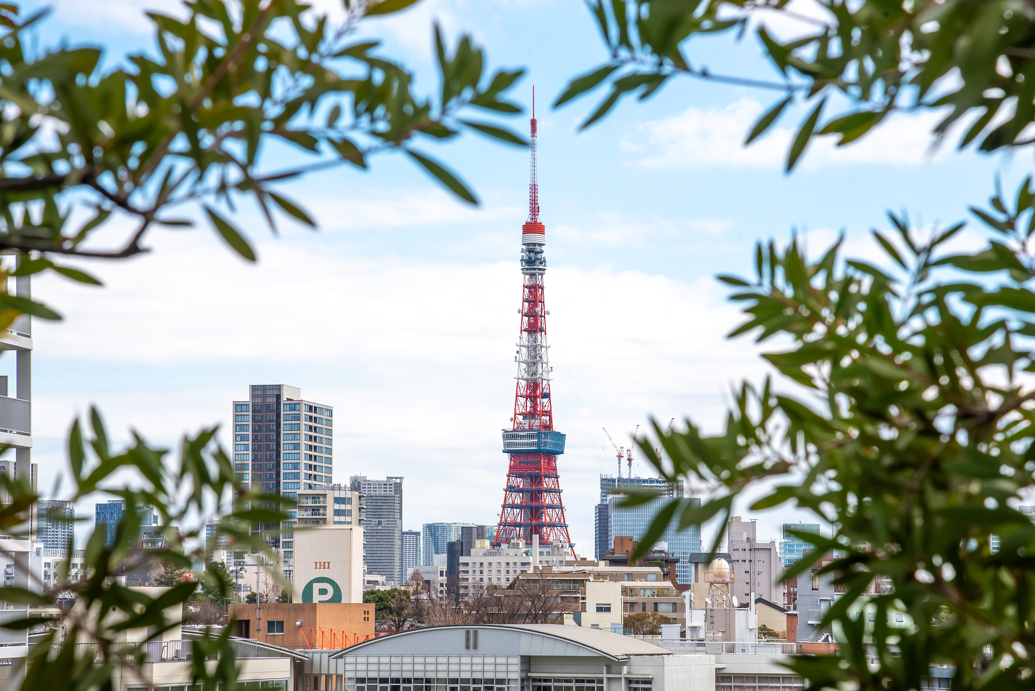 日本好玩的地方