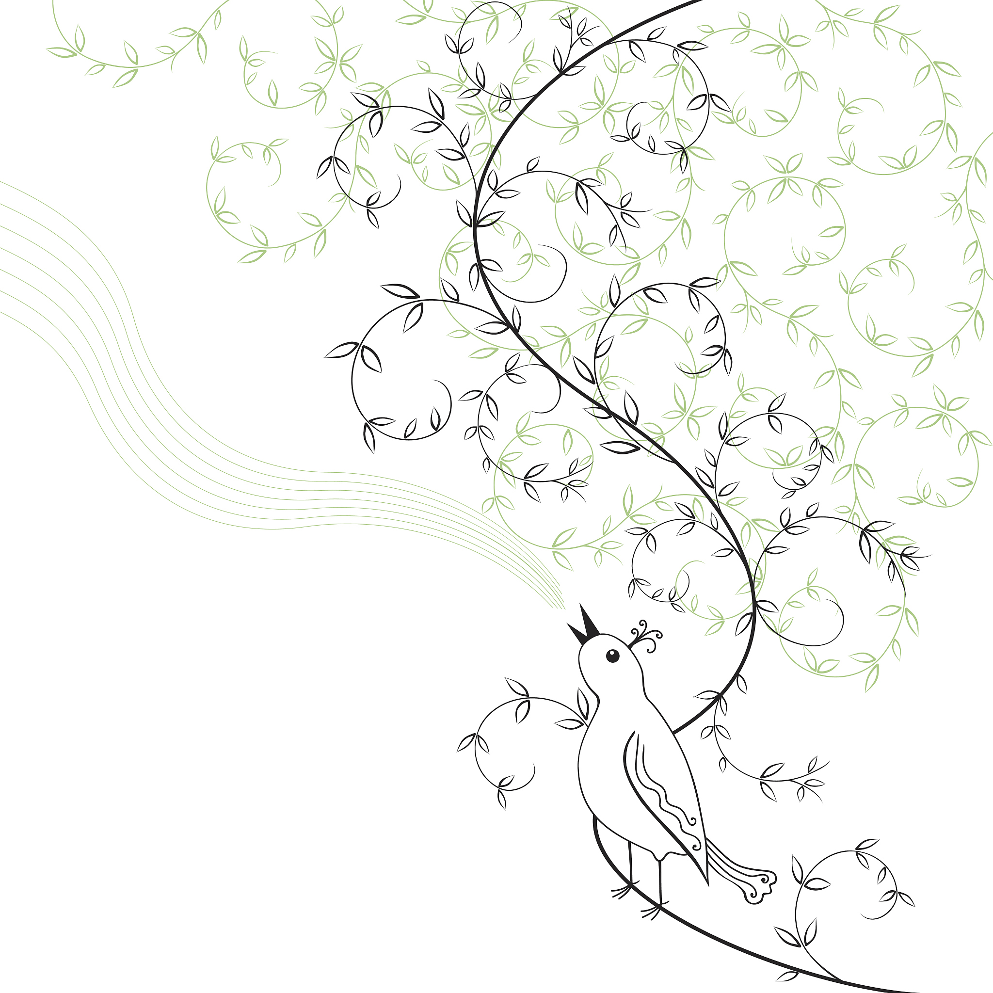 环境与我们的 思维导图