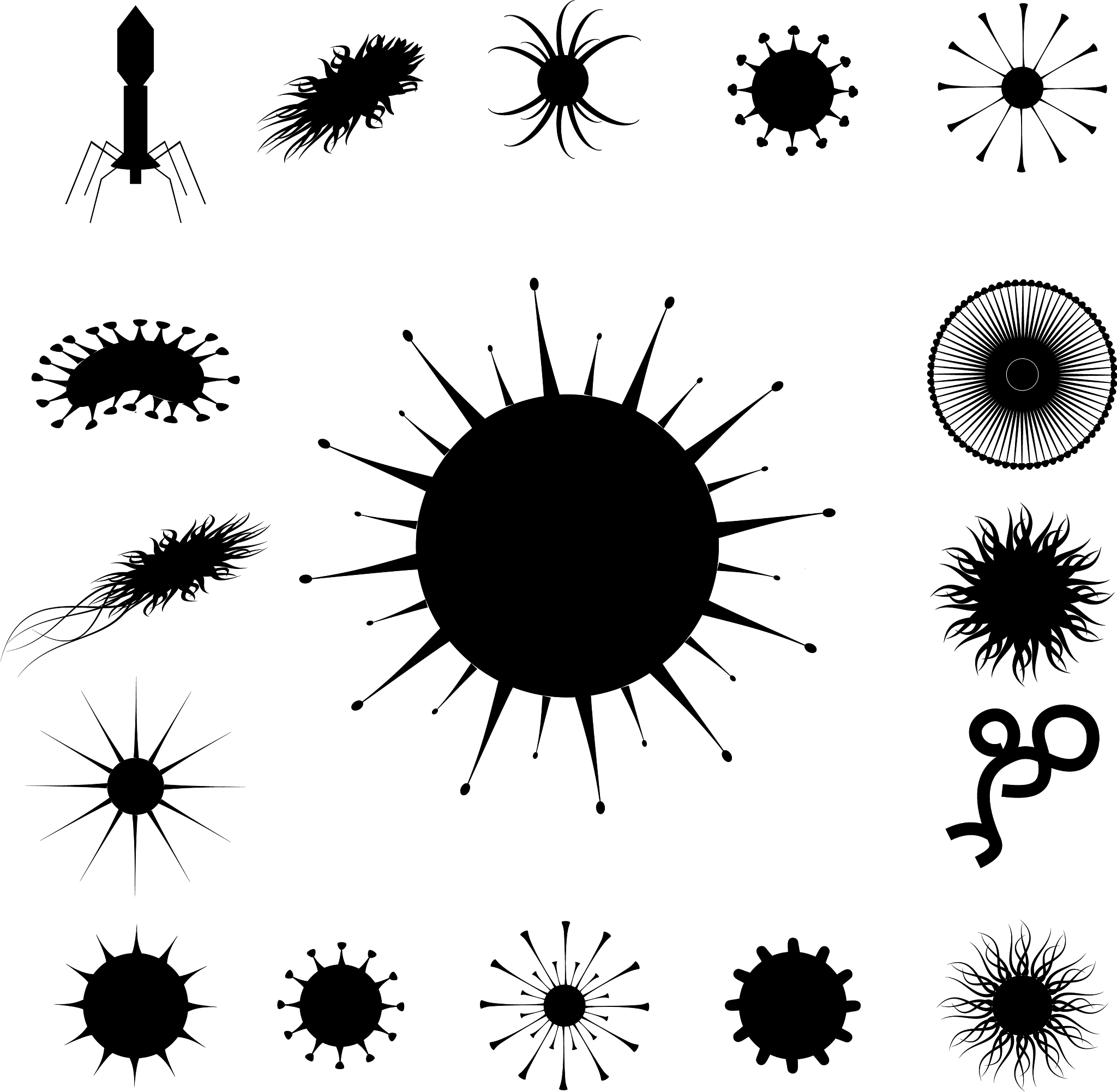 革兰氏阴性细菌噬菌体侵染位点预测方法