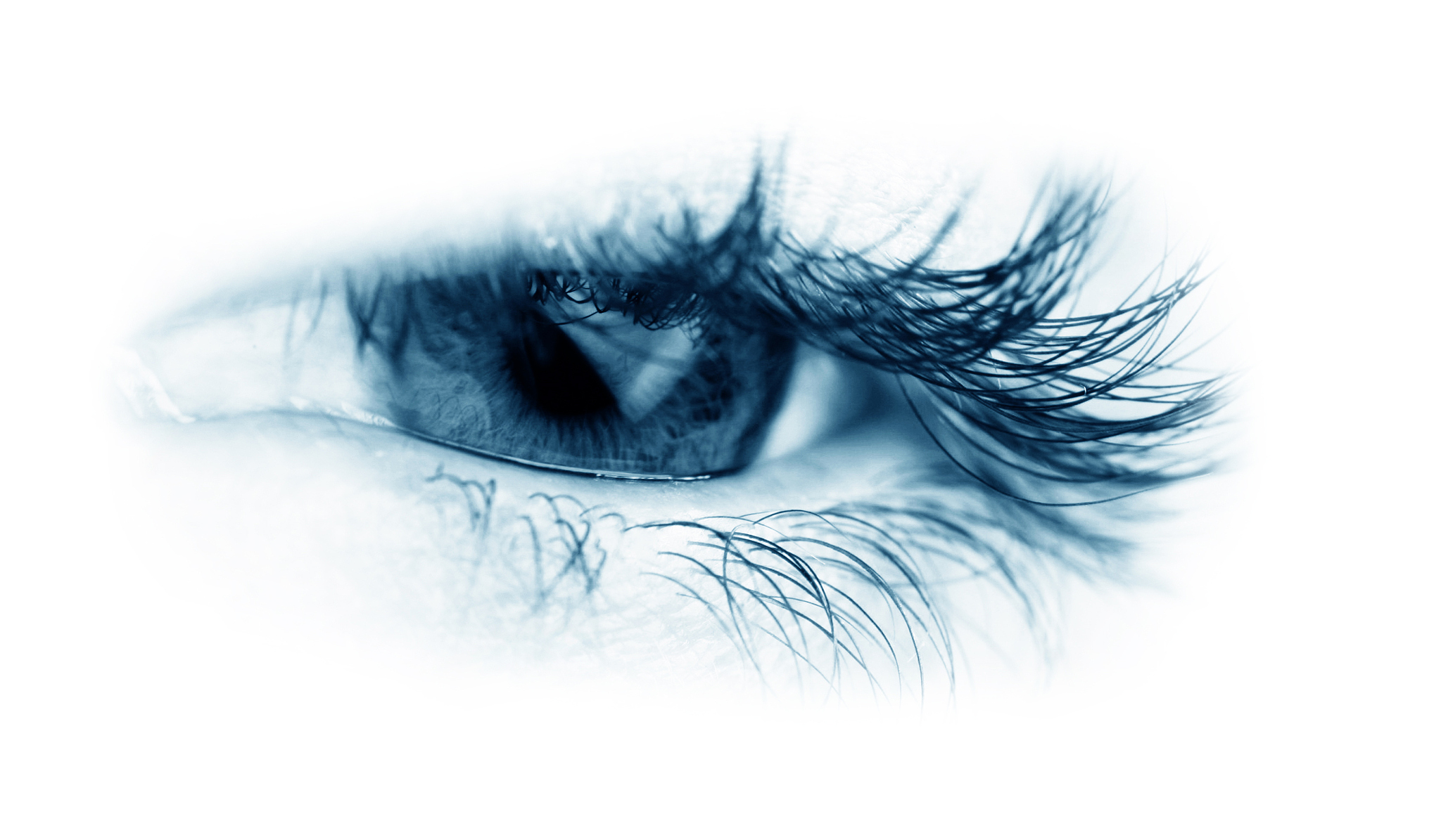 eye