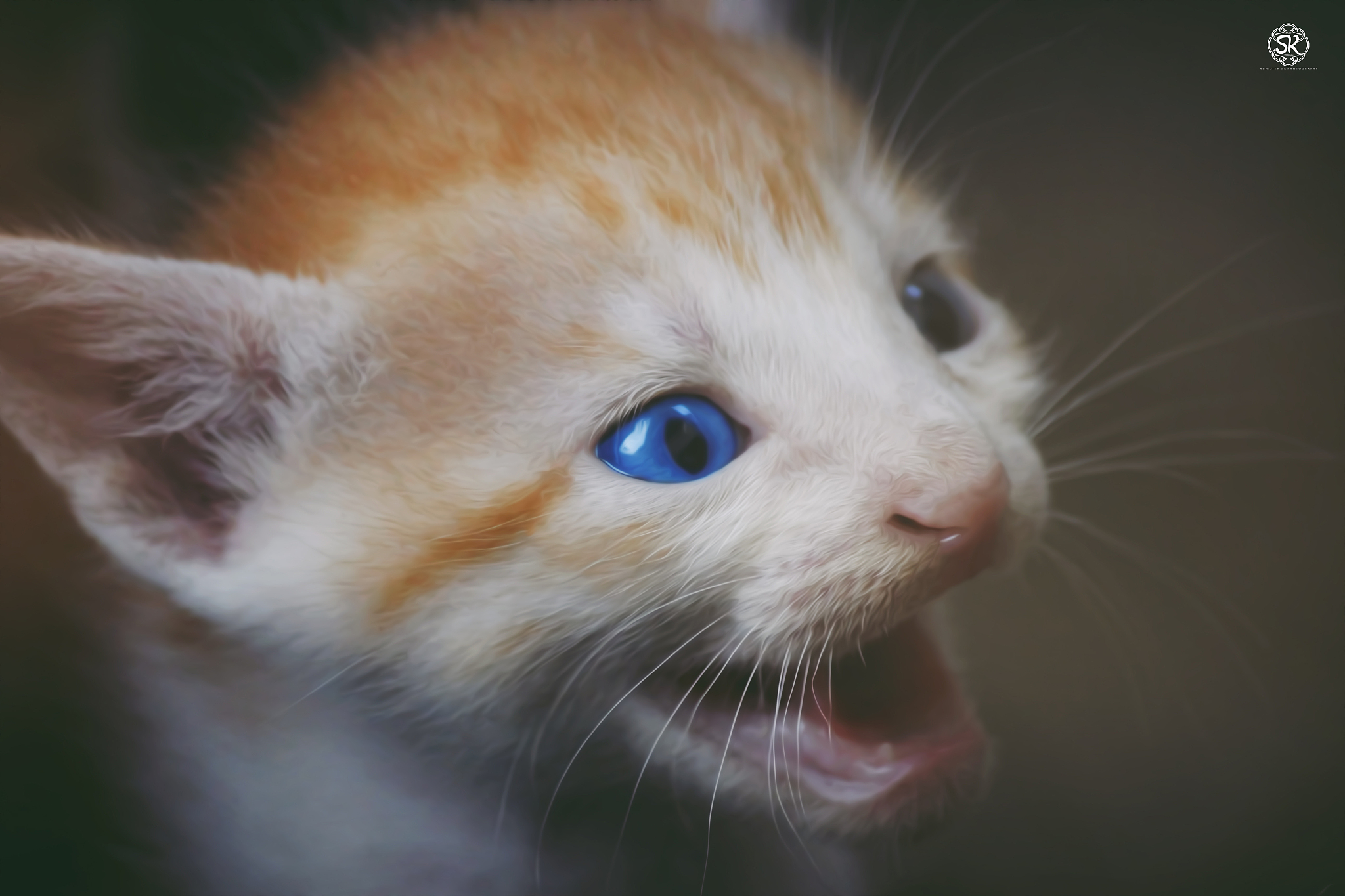 YY账号长度变化：七位变十位，是VIP等级降低了吗？