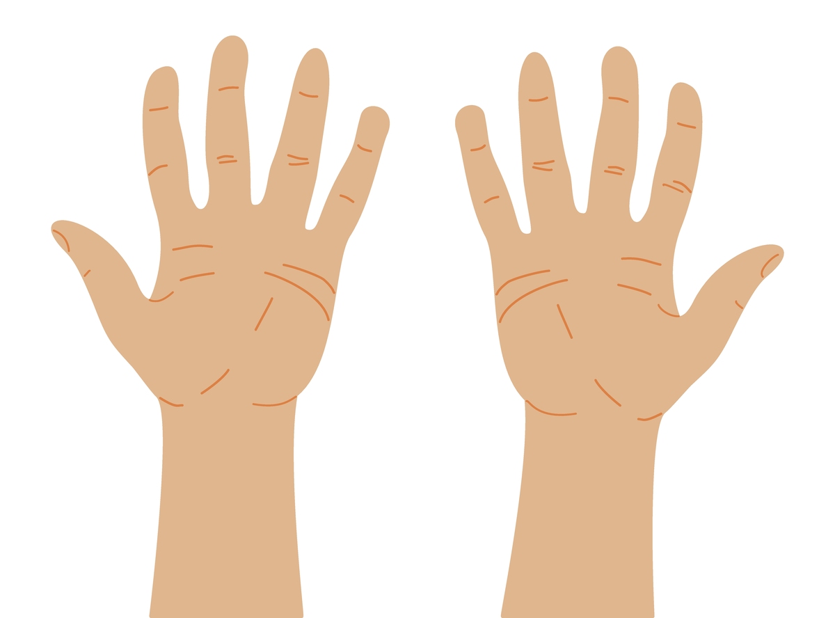 人的手上为什么有手纹