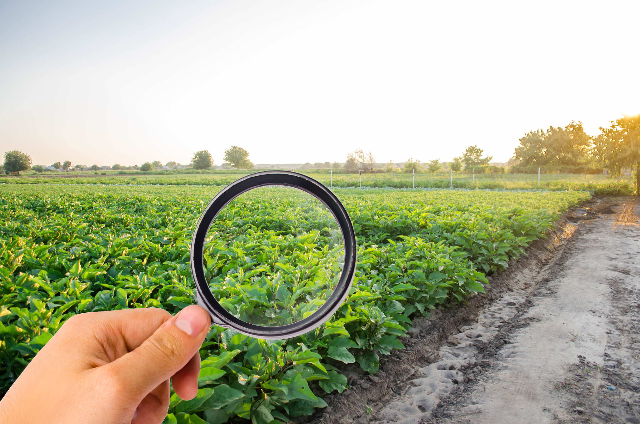 曲靖农业学校五年制专业设置：农业、环境保护、食品科学等