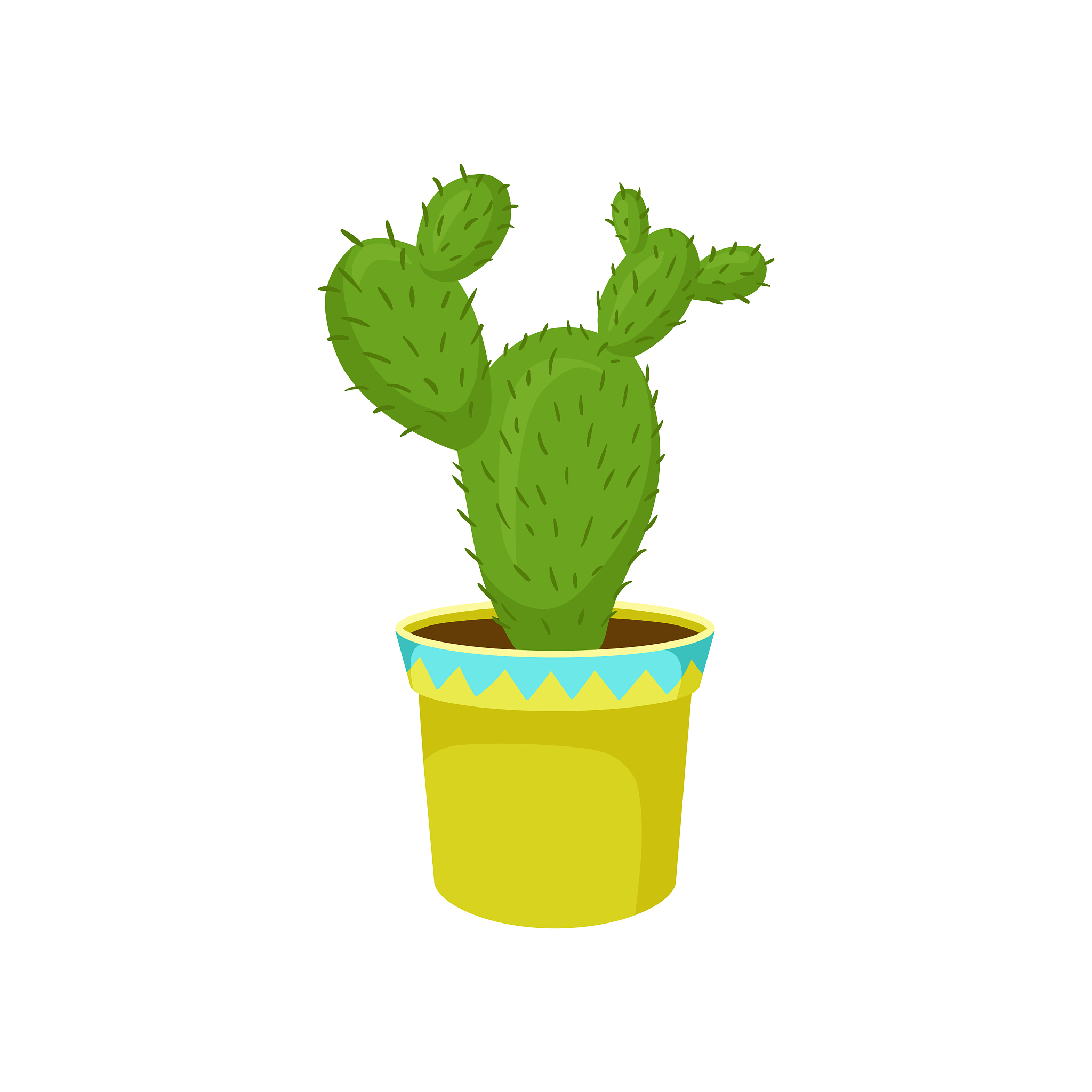 PLANT BIOTECHNOLOGY JOURNAL: 推动植物生物技术研究与发展