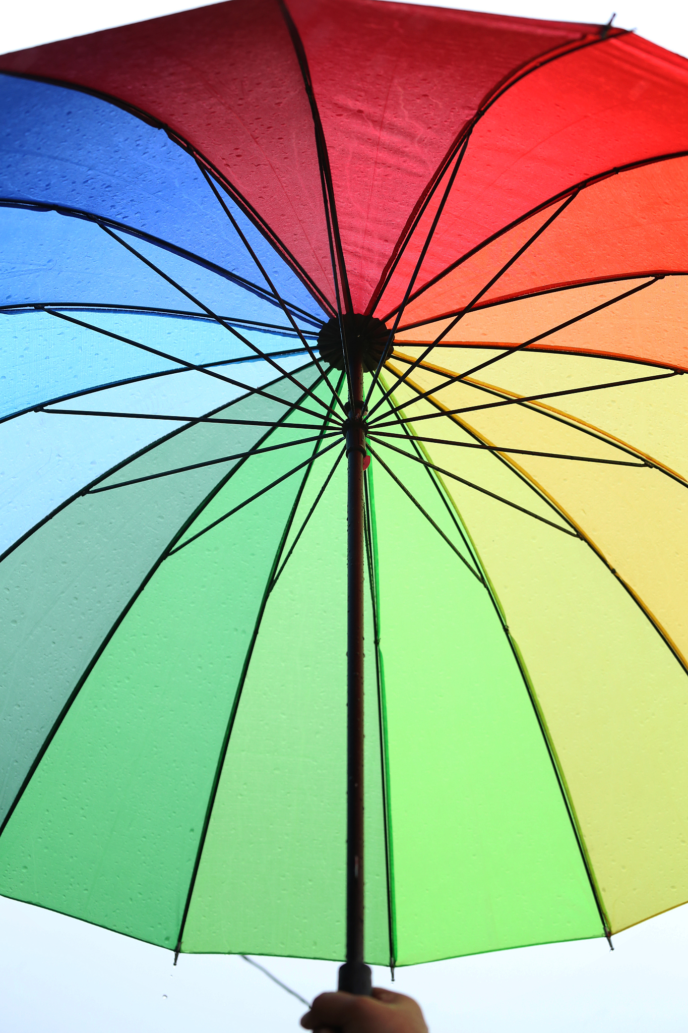 human hands holding colorful umbrella