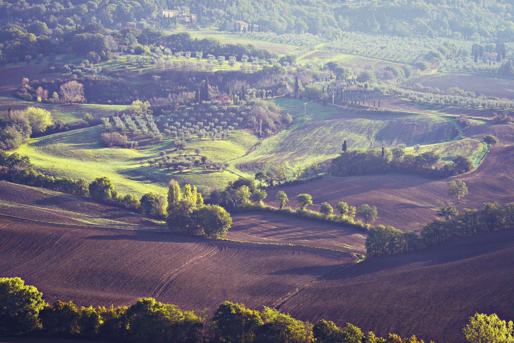tuscan landscape