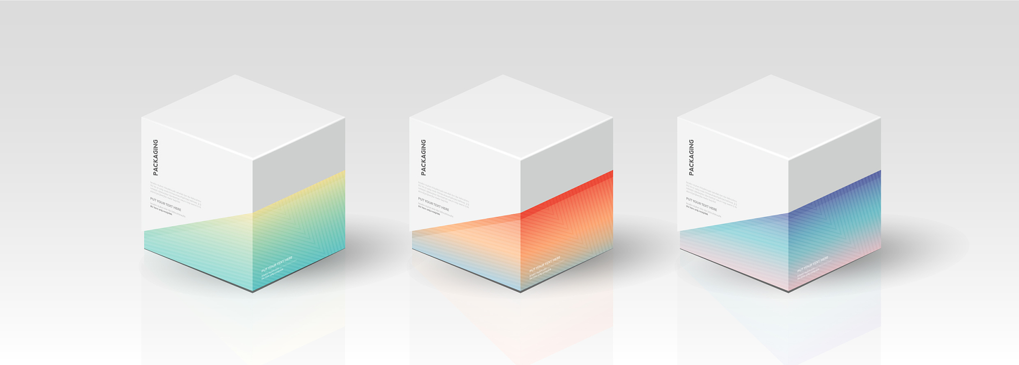 box packaging template for product design