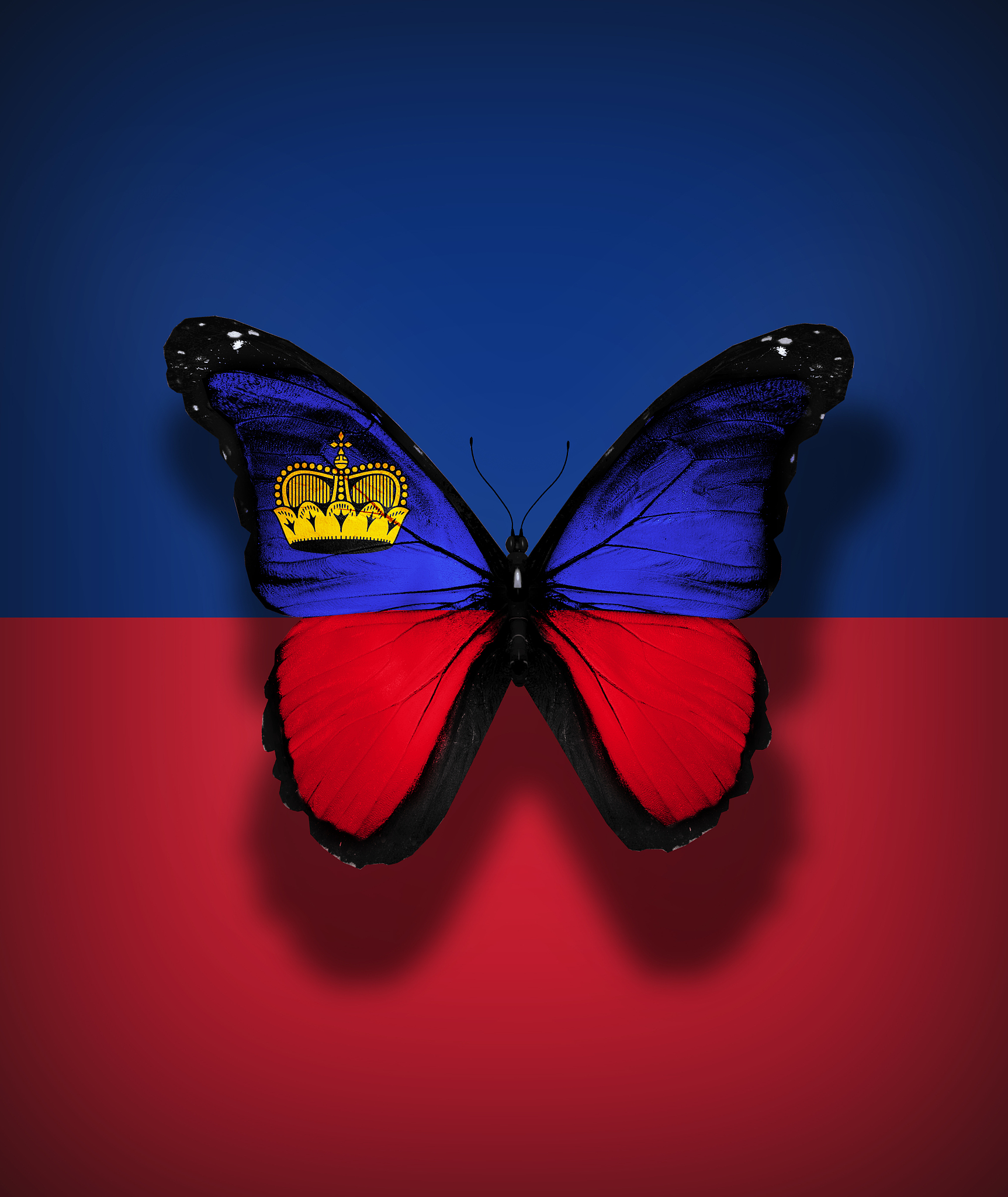 欧洲近代的新学校强调重视儿童实际活动、强调教育与生活的联系、反对 。 A单纯地学习书本 B能力的圆满发展 C训练儿童体力 D发现与创造 说明理由