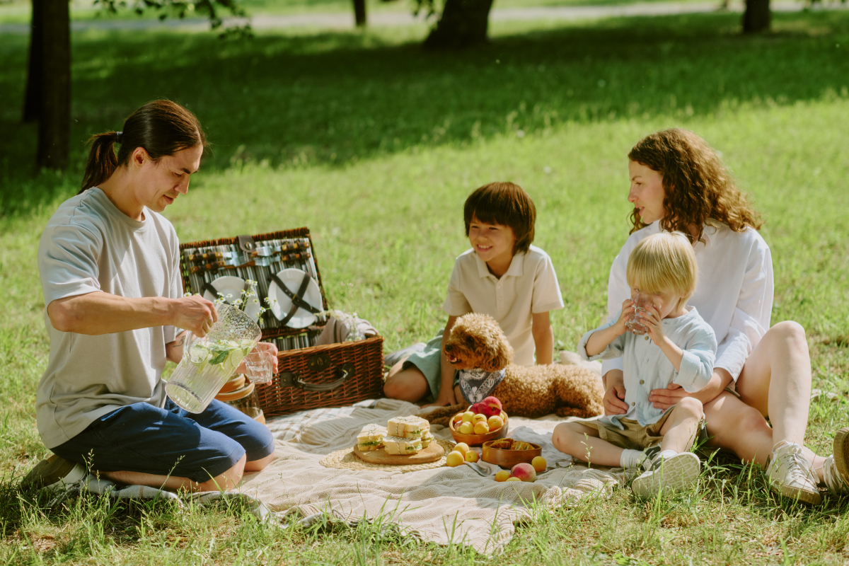 Family Picnic: A Fun Activity For Everyone