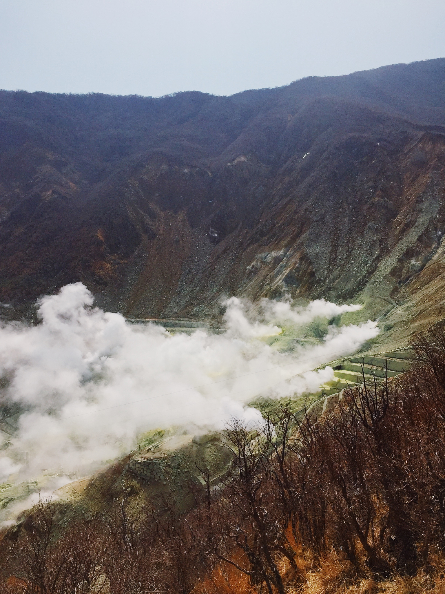 日本人对美的追求：进化论、地理位置和文化的影响