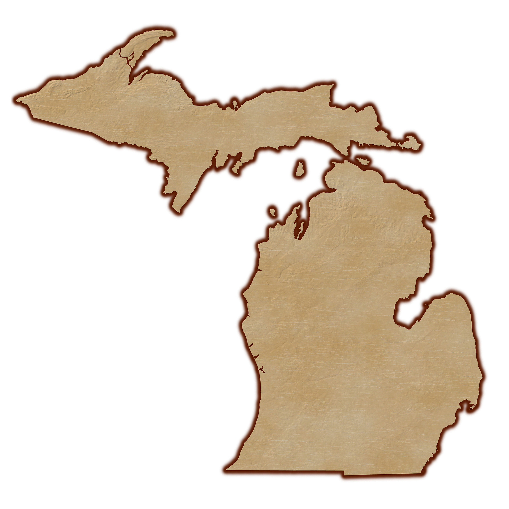 relief map of michigan