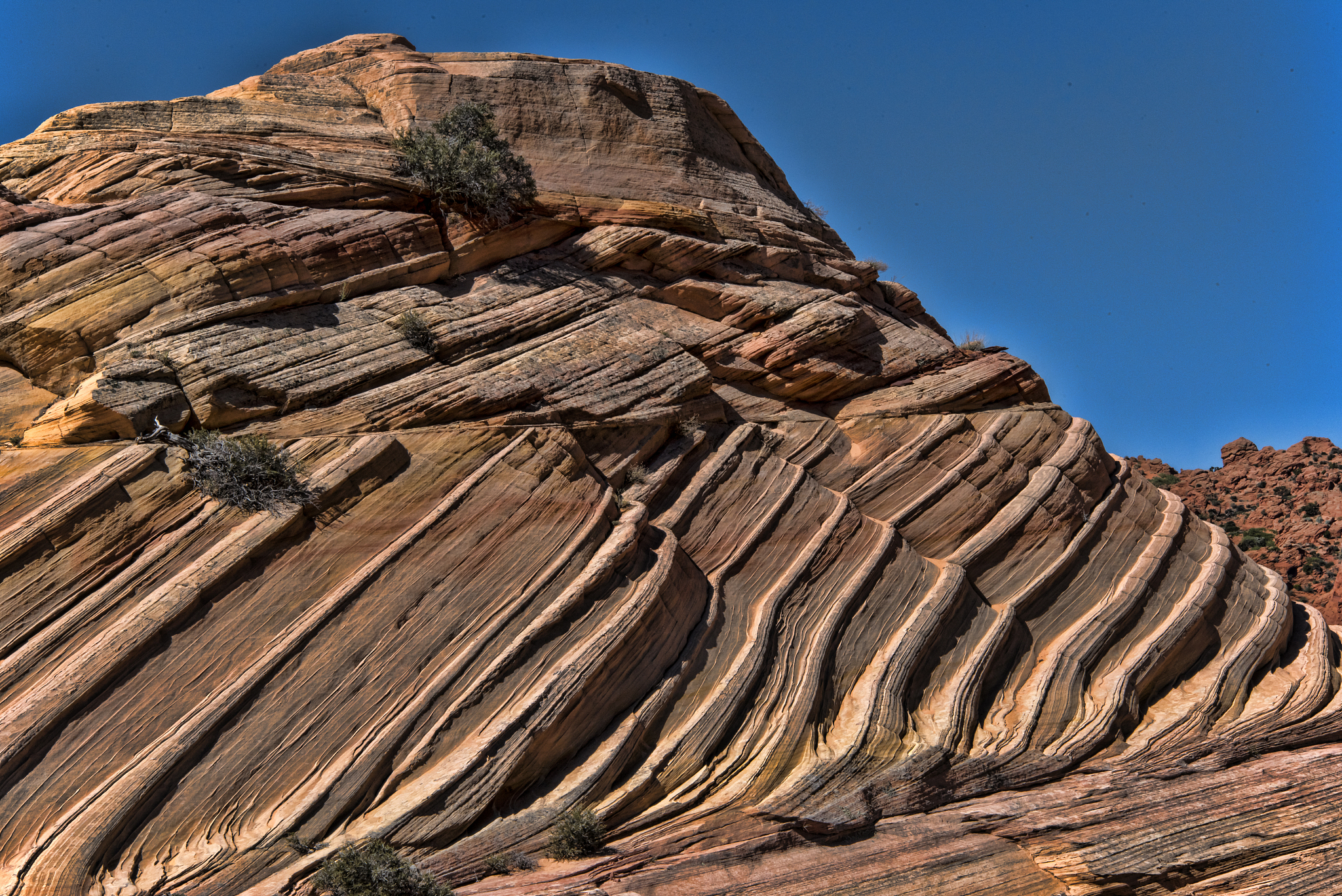 north coyote buttes