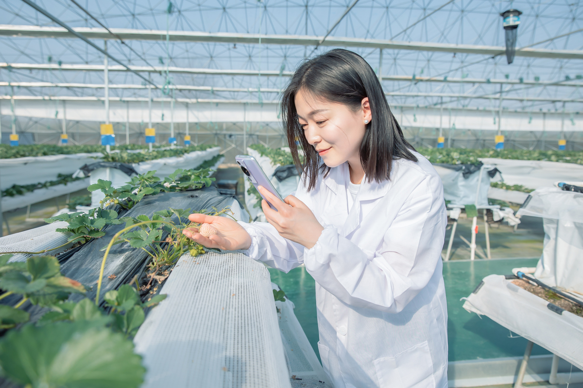 保定职业技术学院植物保护专业就业方向：农业、环保、企业等领域