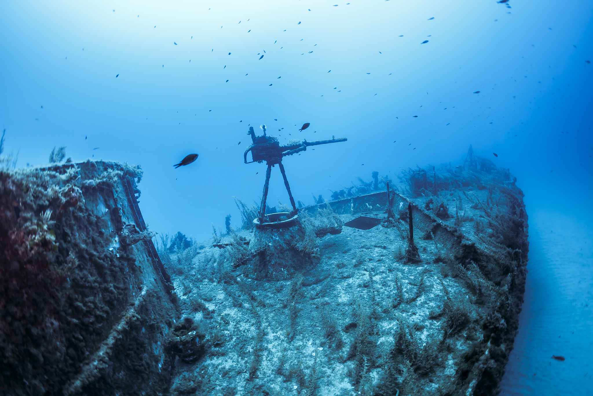 shipwreck p29