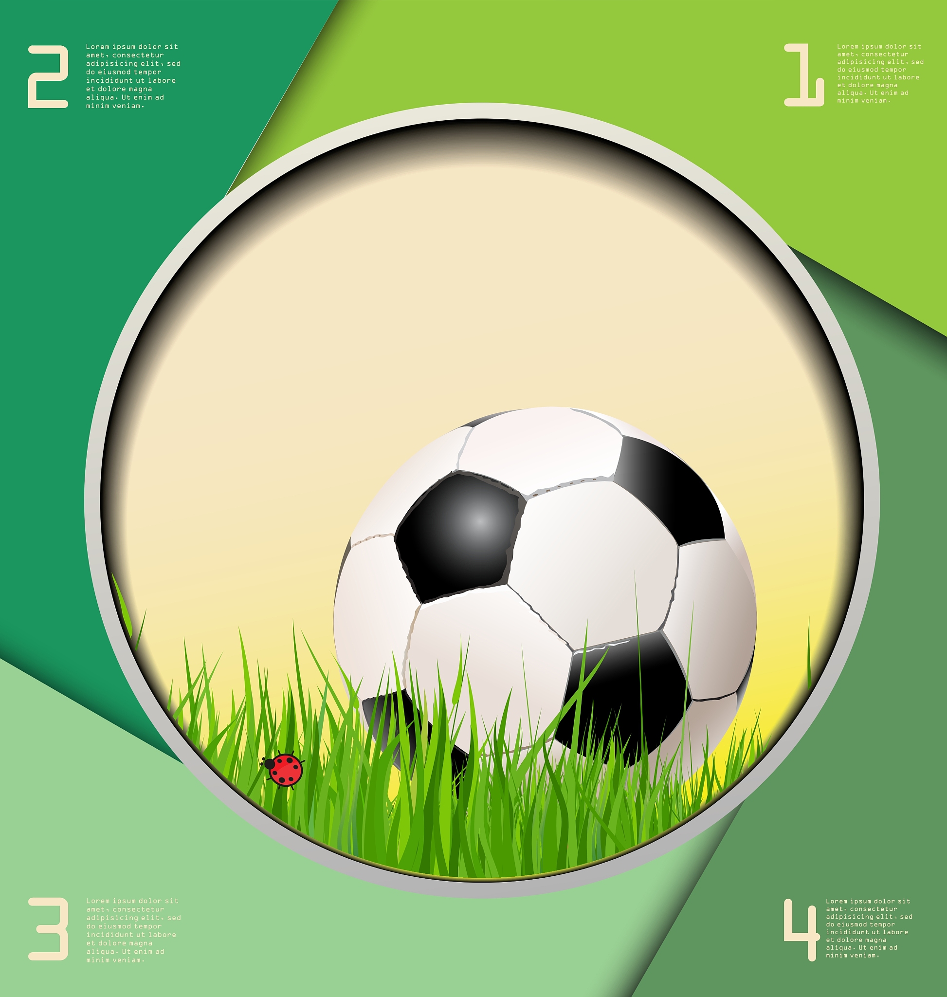 soccer background