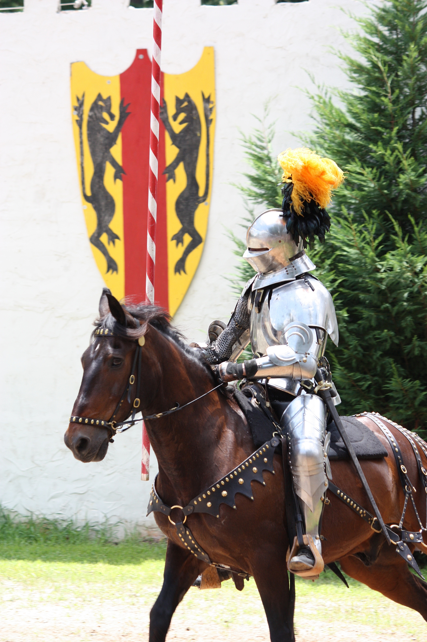 jousting knight