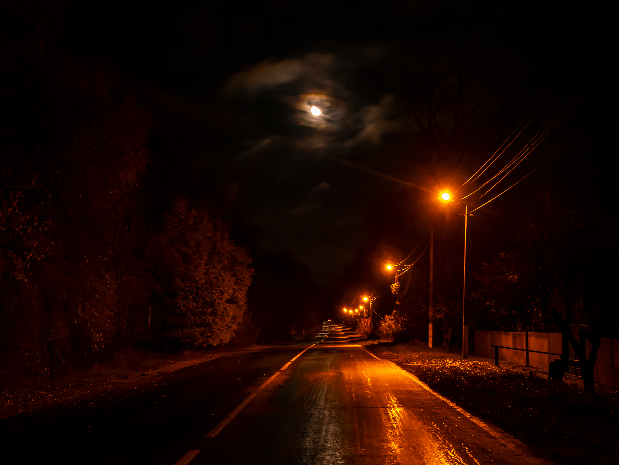the night country road is illuminated by electric lamps.