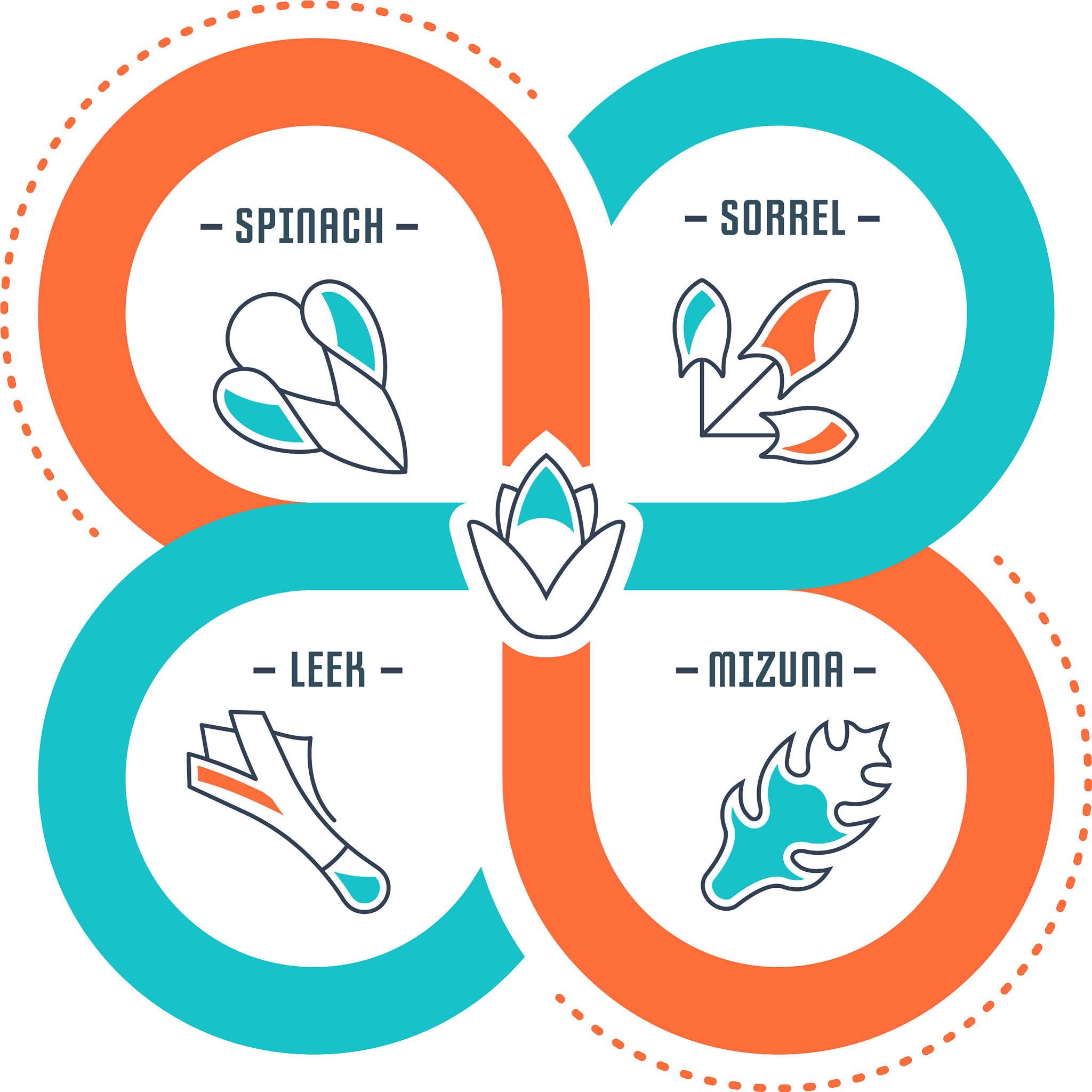 website banner and landing page spices and