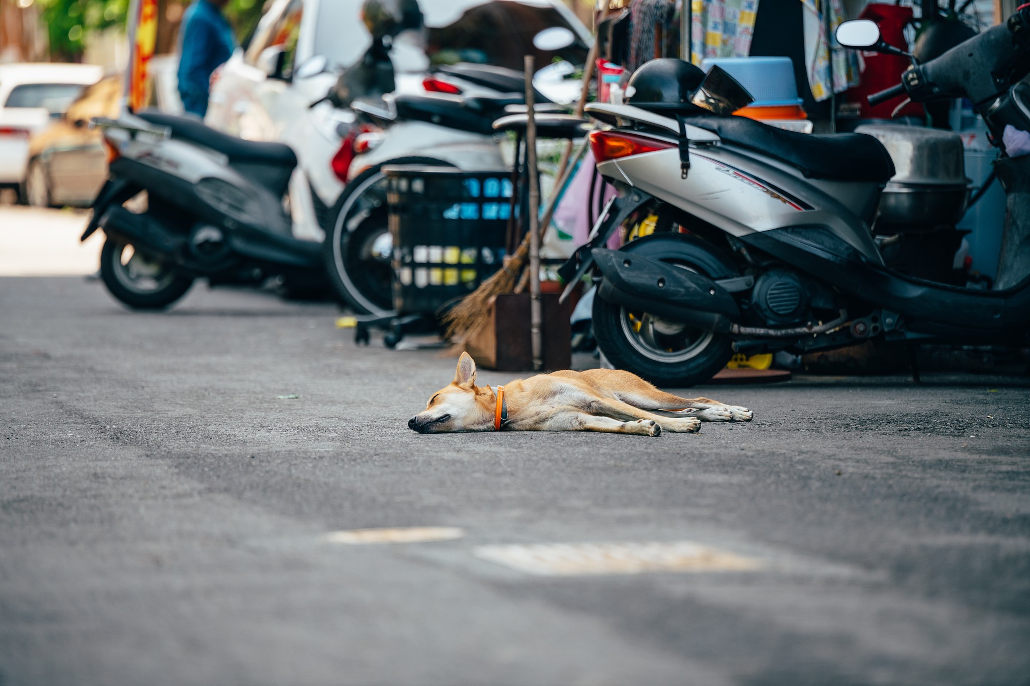 四川交通职业技术学院汽车服务工程专业：培养汽车服务工程师的摇篮